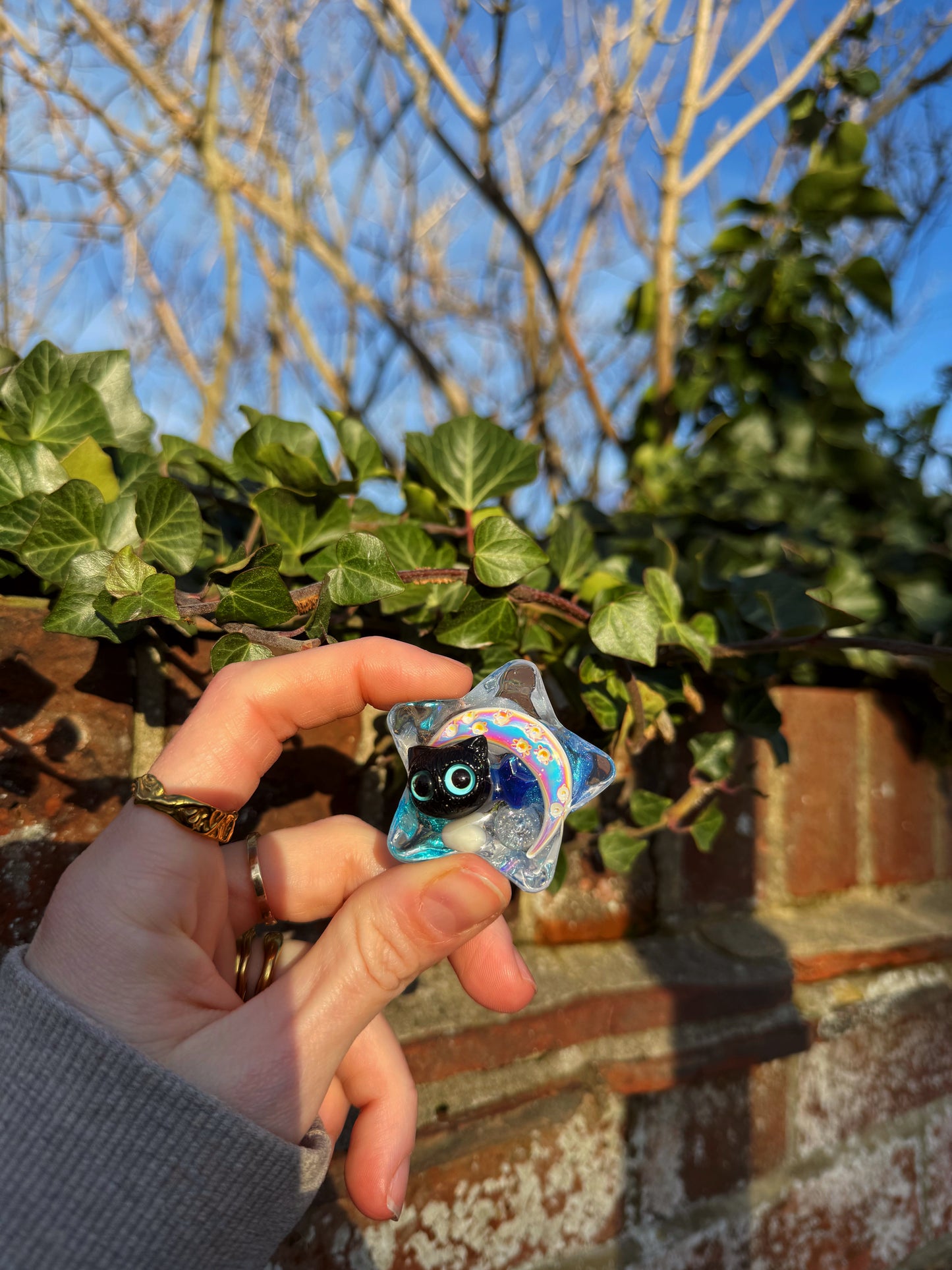 Cat and the moon water star