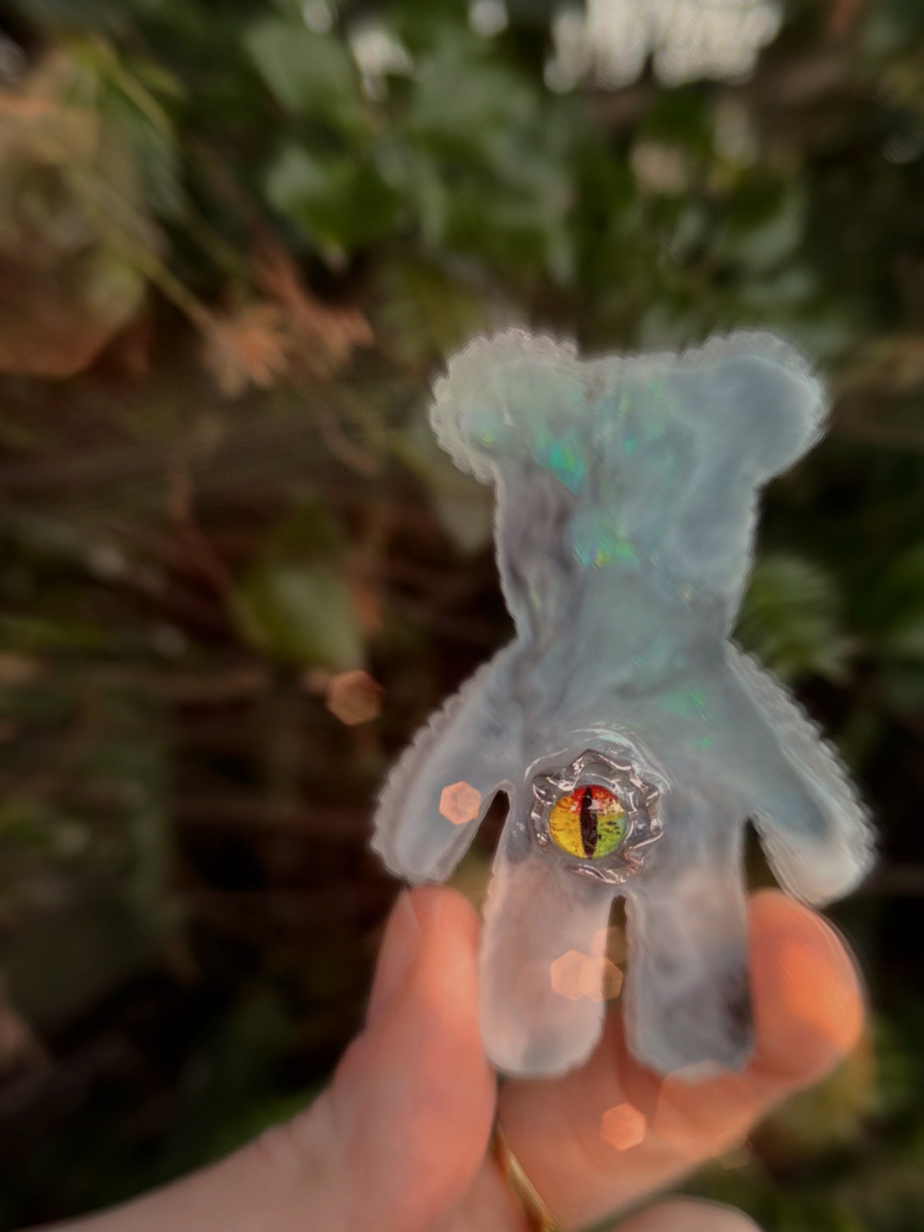 Jagger bear: dragon eye