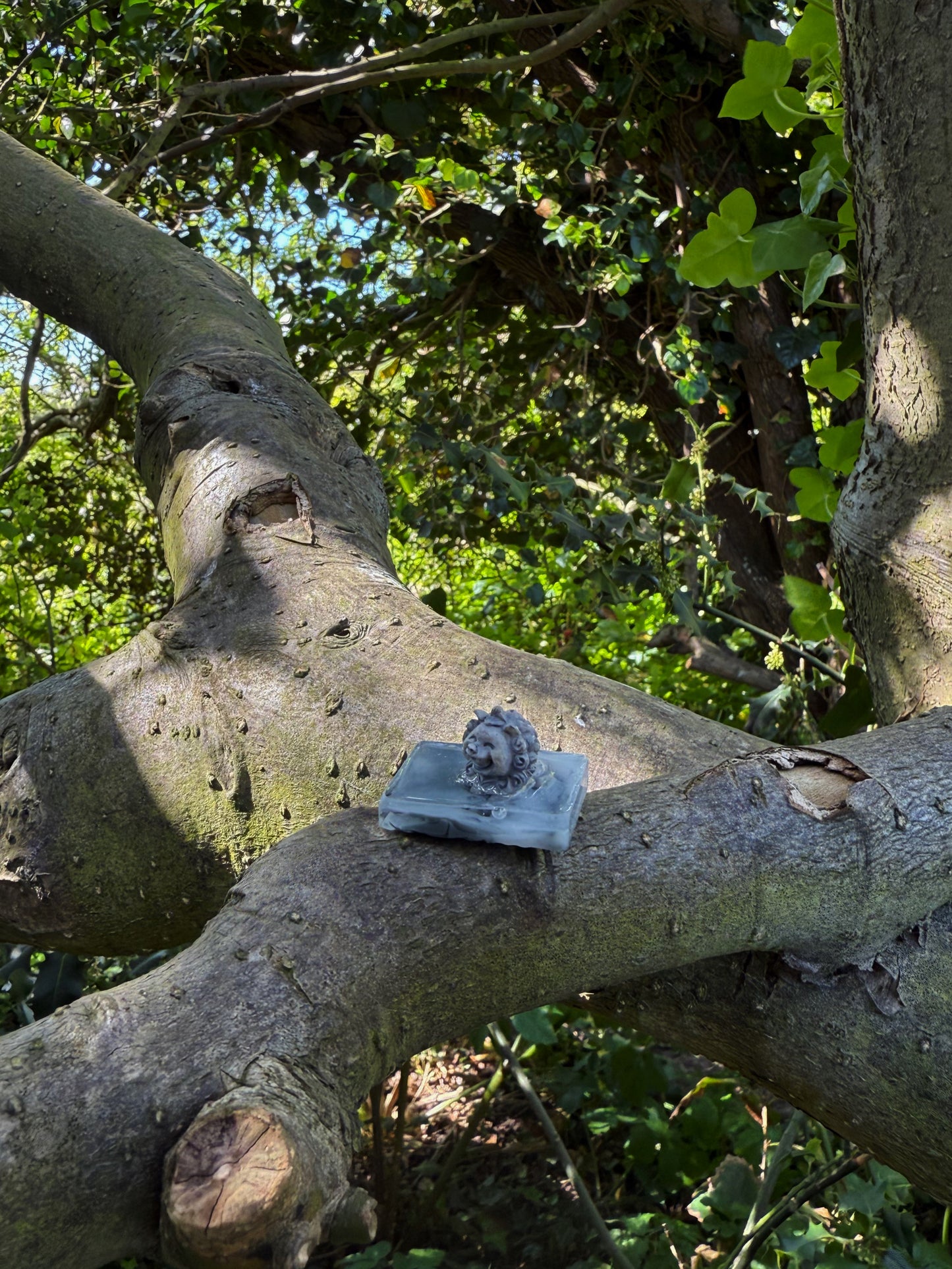 The guardian of the garden pebble