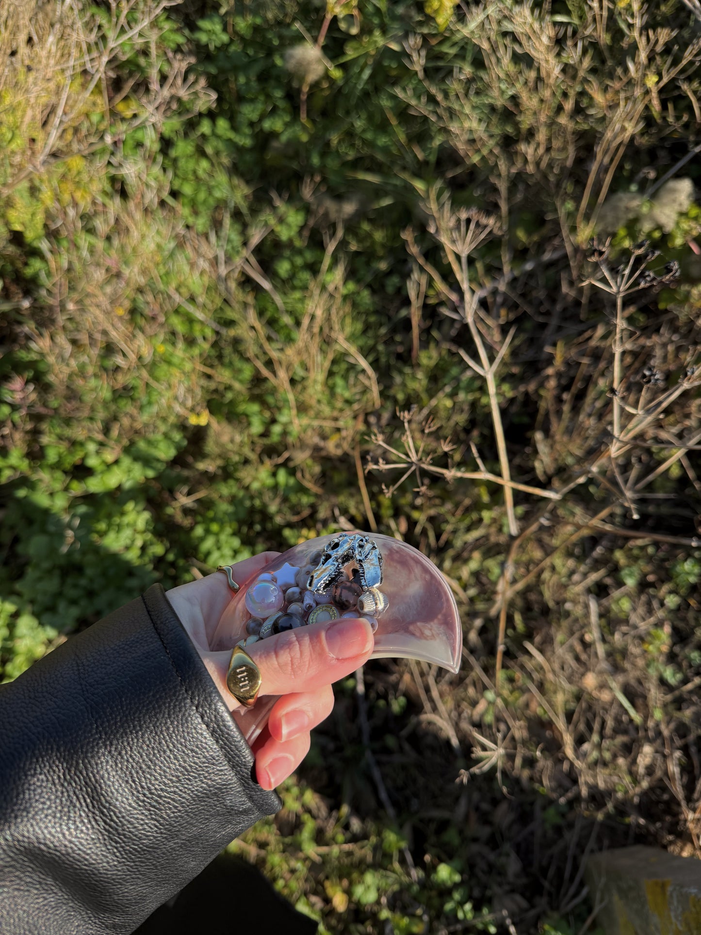 Dinosaur mildred moon tinker 109