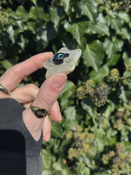 Water star: black cat 156