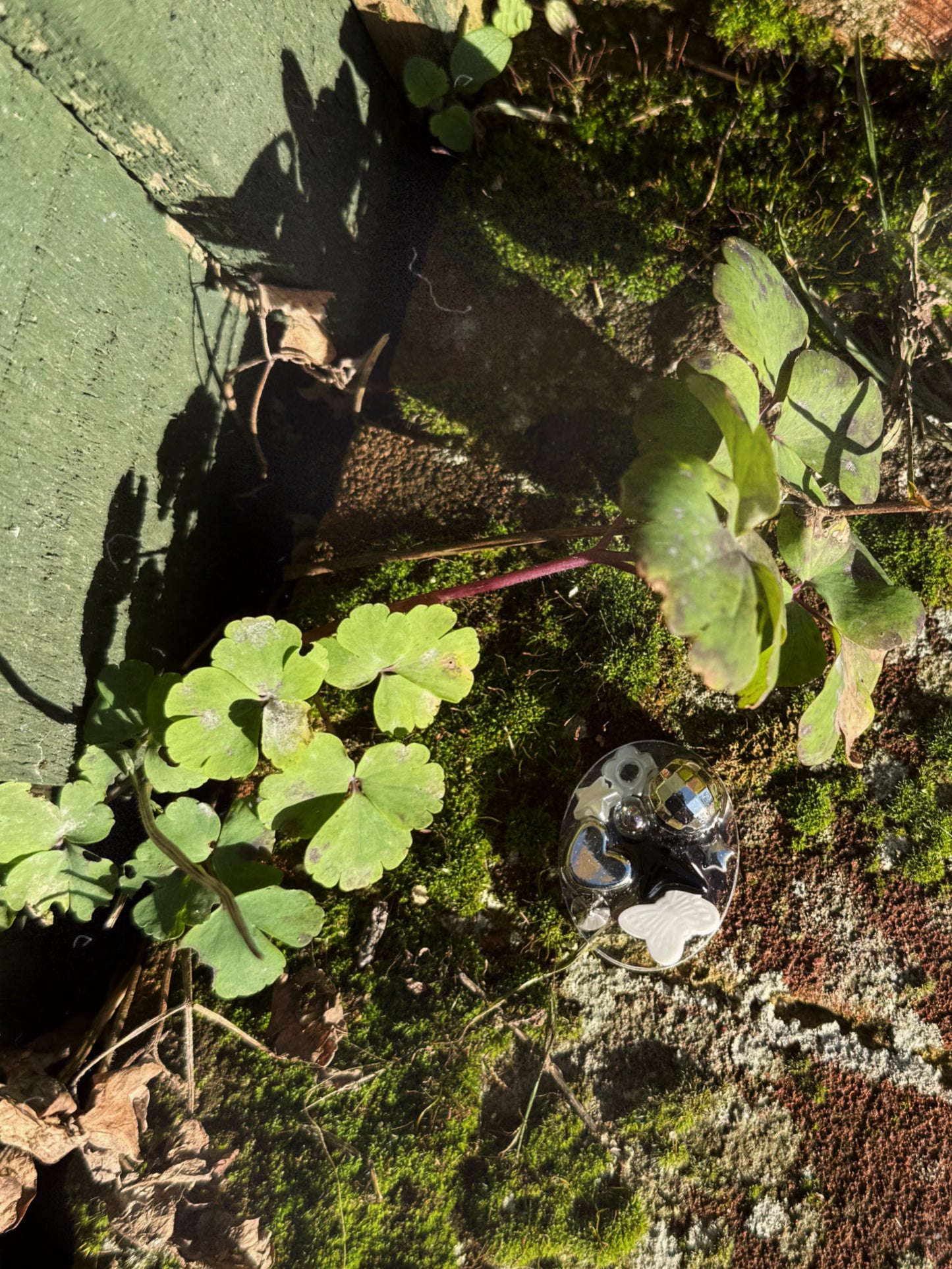 Black and white Disco - Micro oval