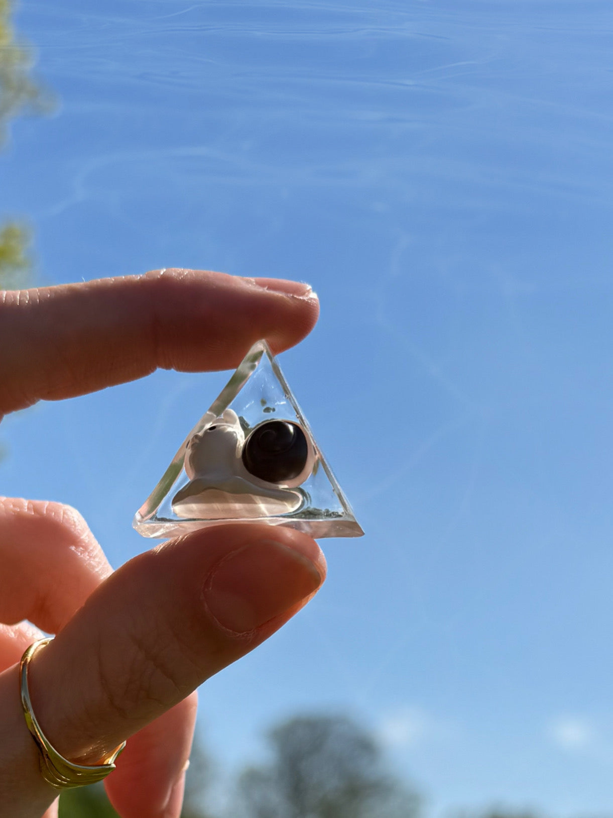 The snail: triangle wave