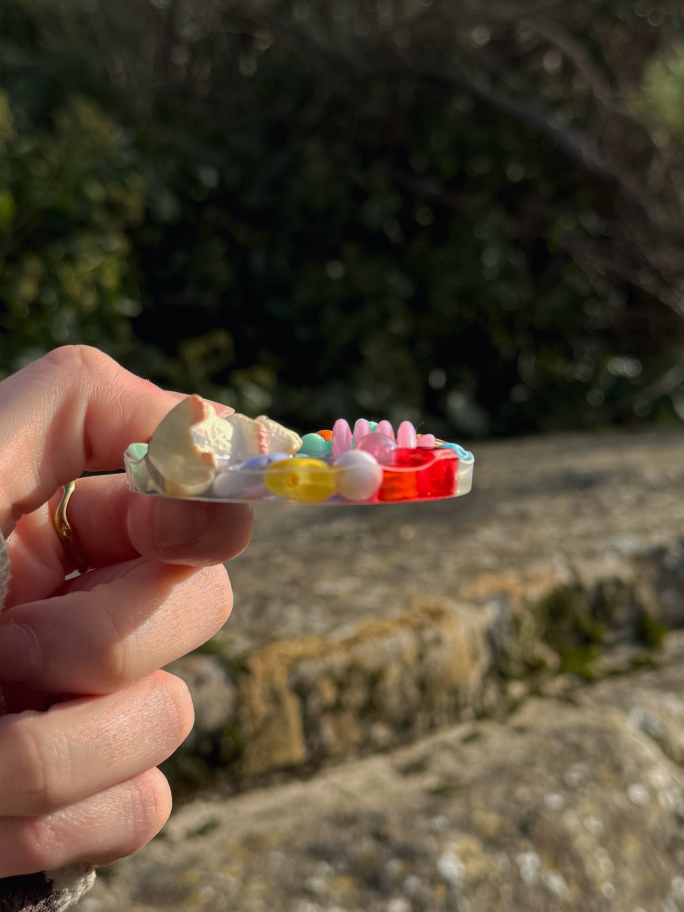 Mini tinker: rainbow hamster 22