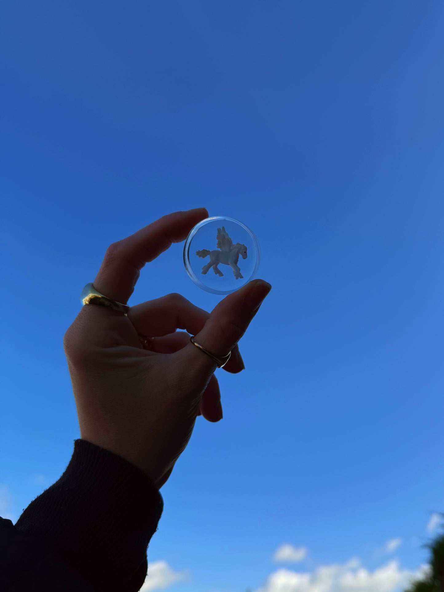 Chunky orb: Pegasus 168