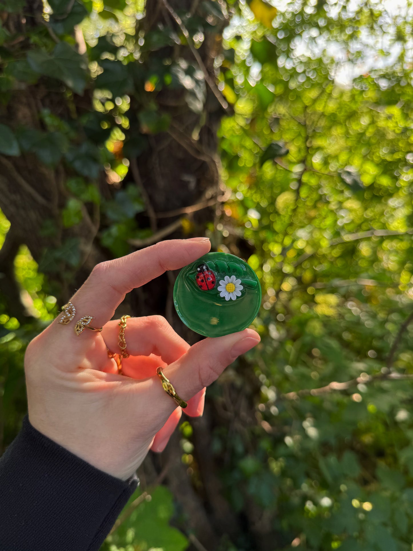 Fairy garden smile finder