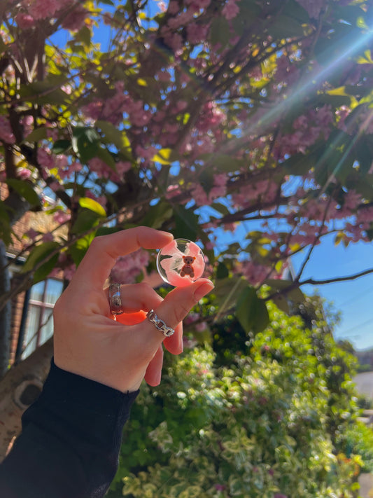 Micro orb: pink bear
