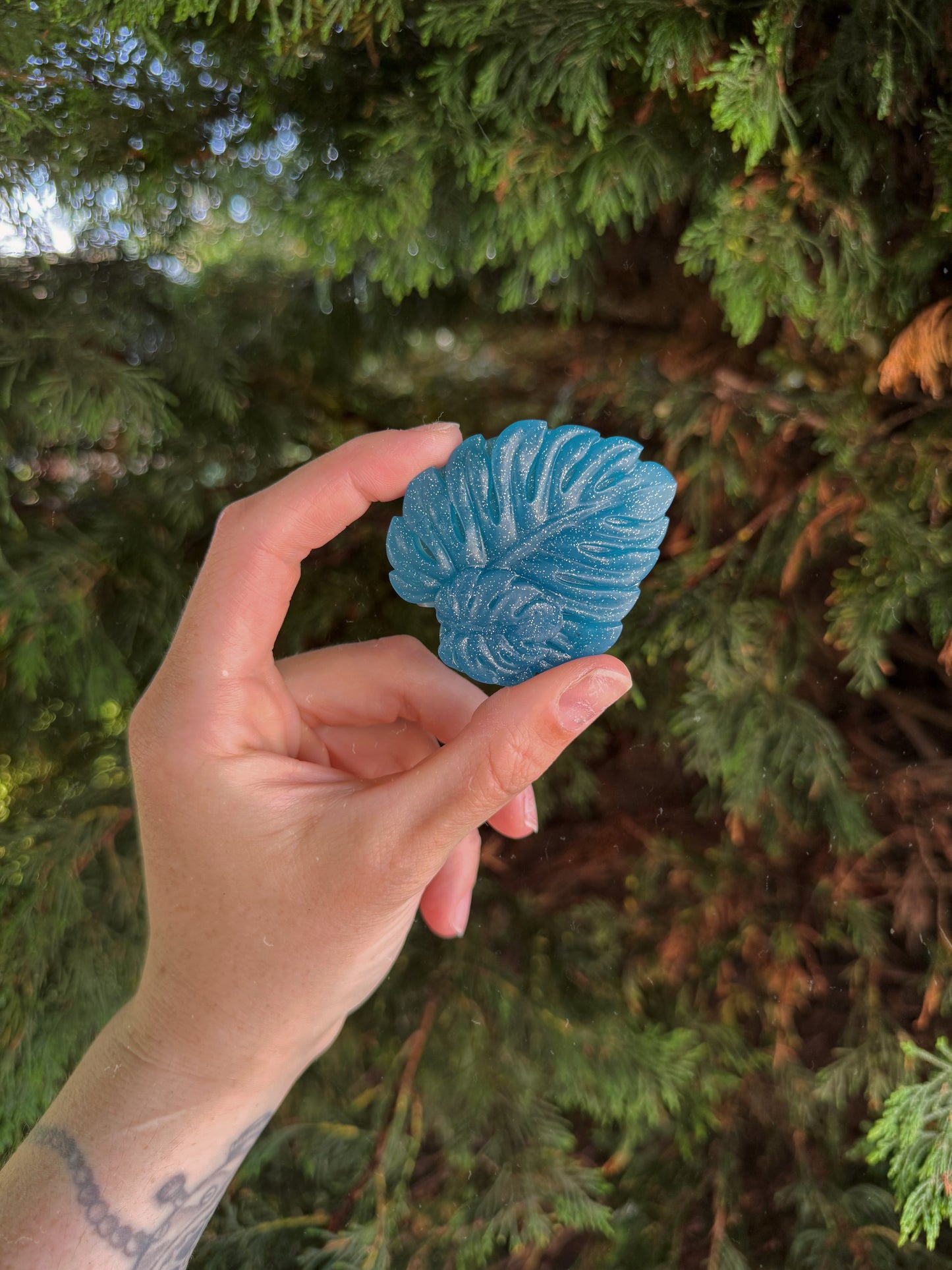 Water rock leaf