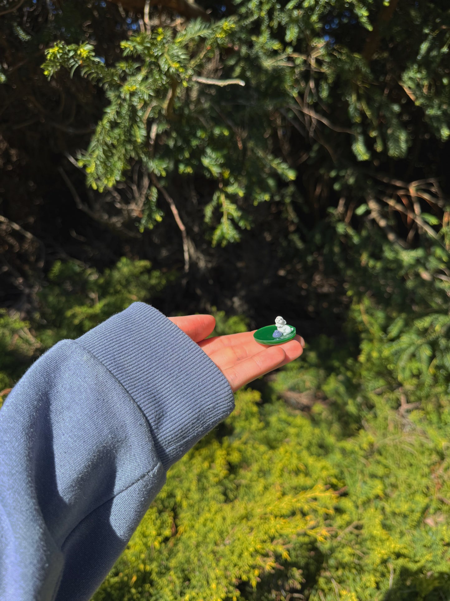 Thats my blueberry micro orb