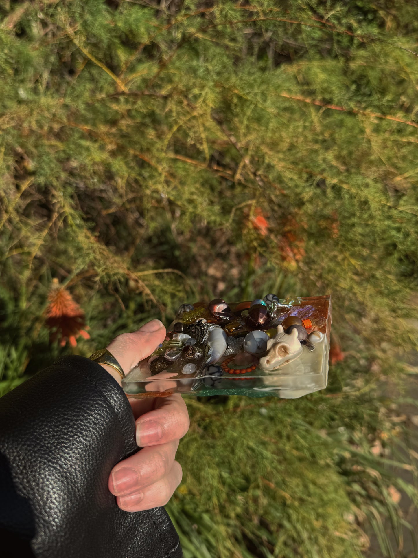 XL square wave: dragon bone 113