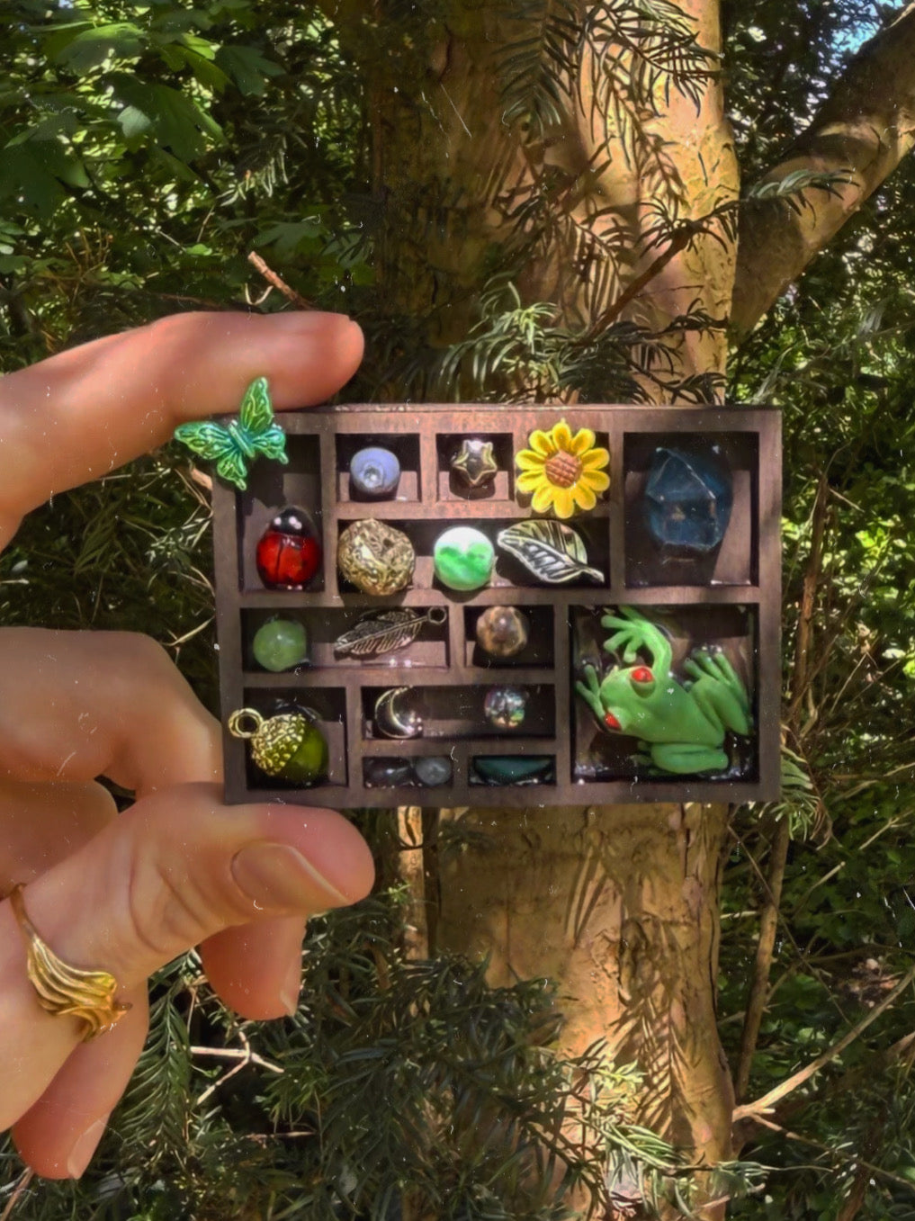 The frog book shelf