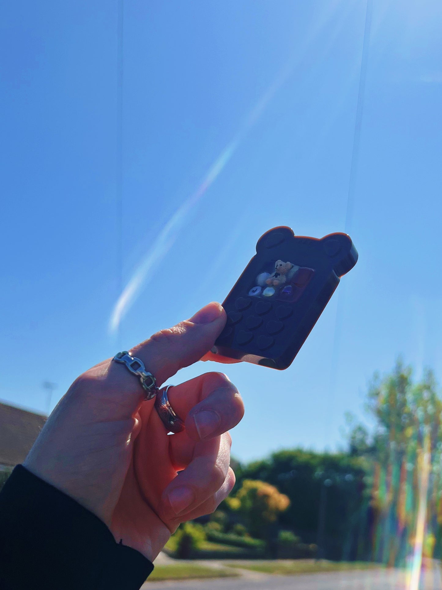 Brown bear phone
