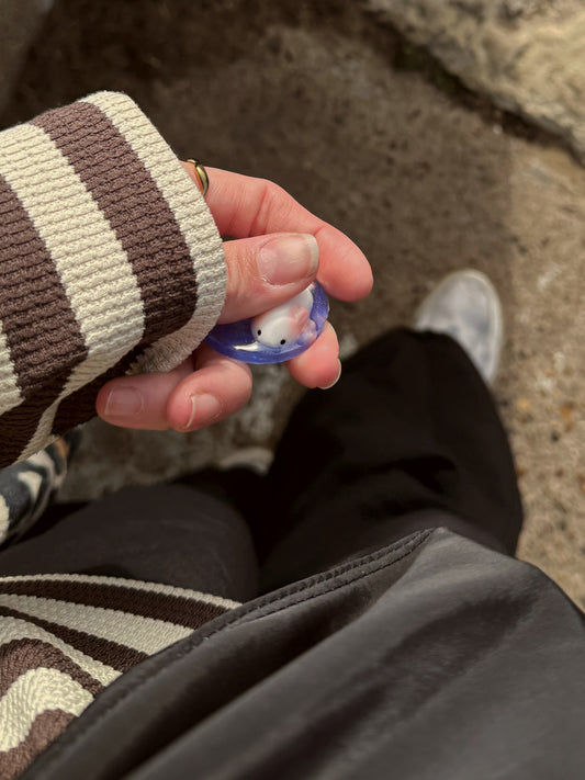 Holographic orb: axolotl 6