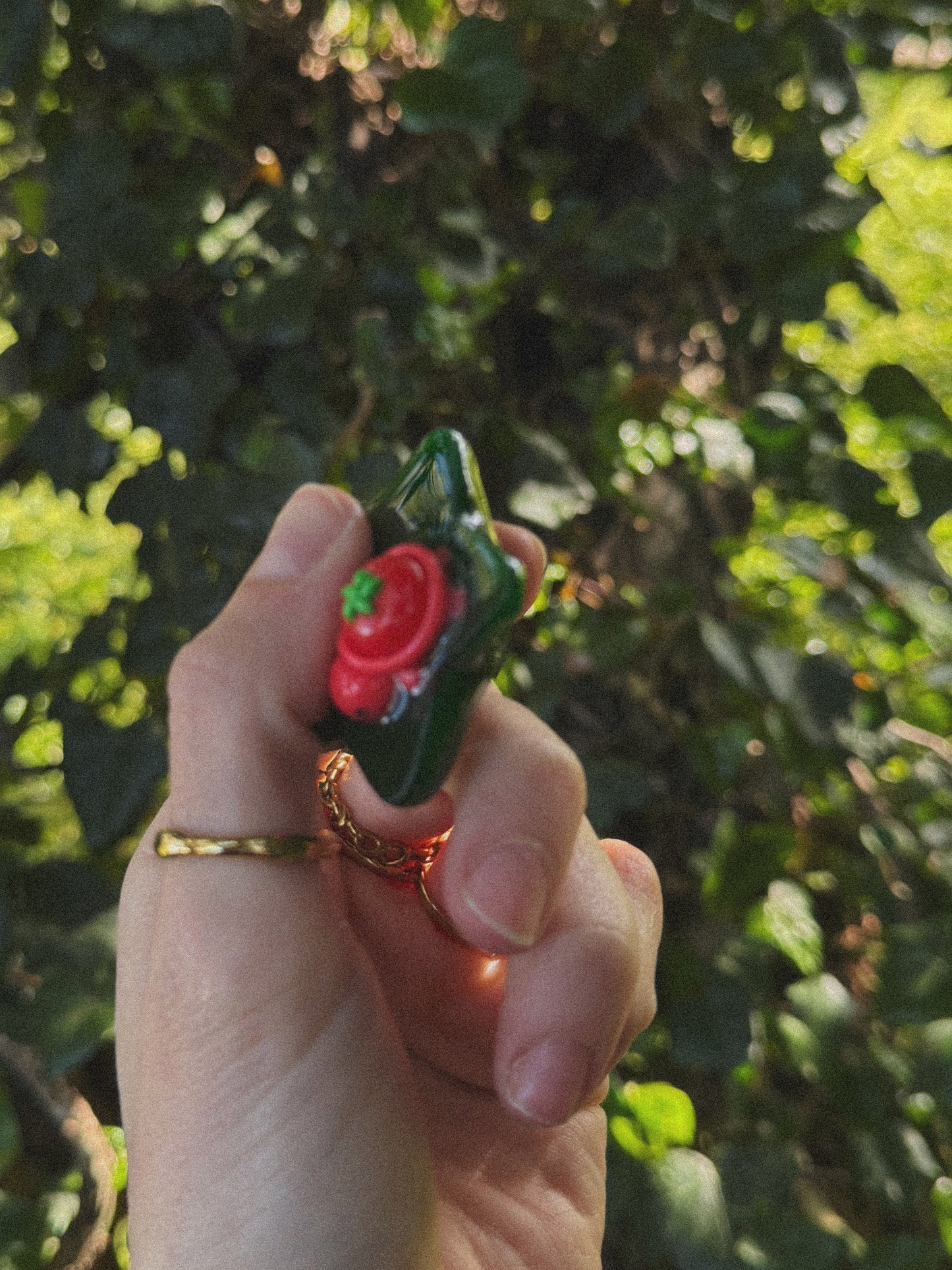 Tomato tortoise water star