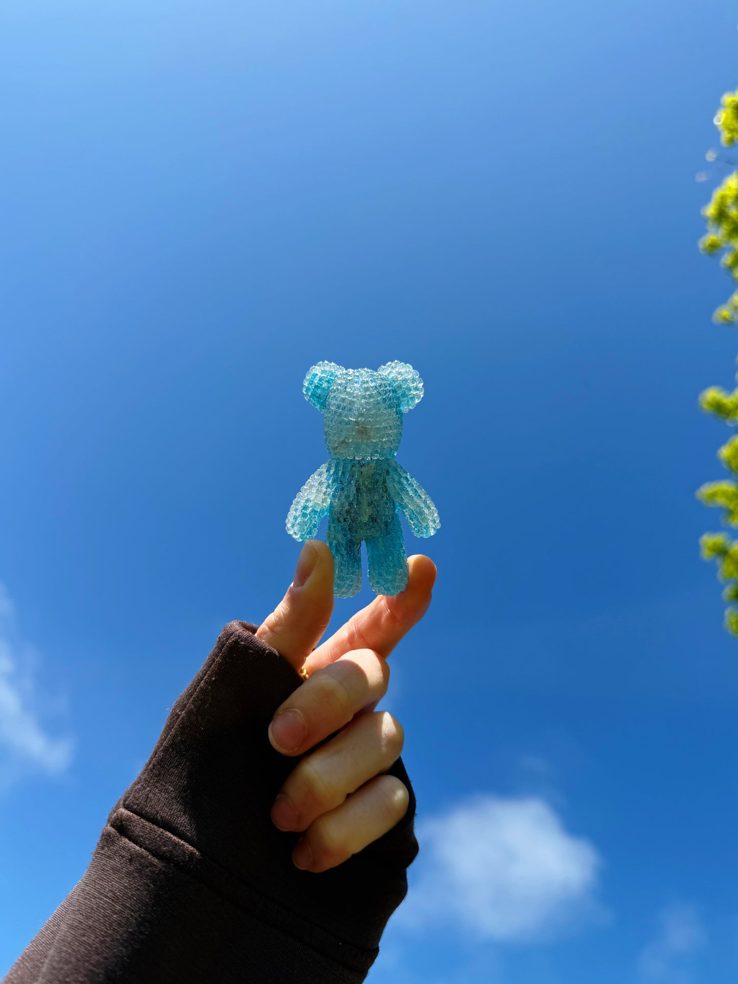 Jagger bear: feed the ducks