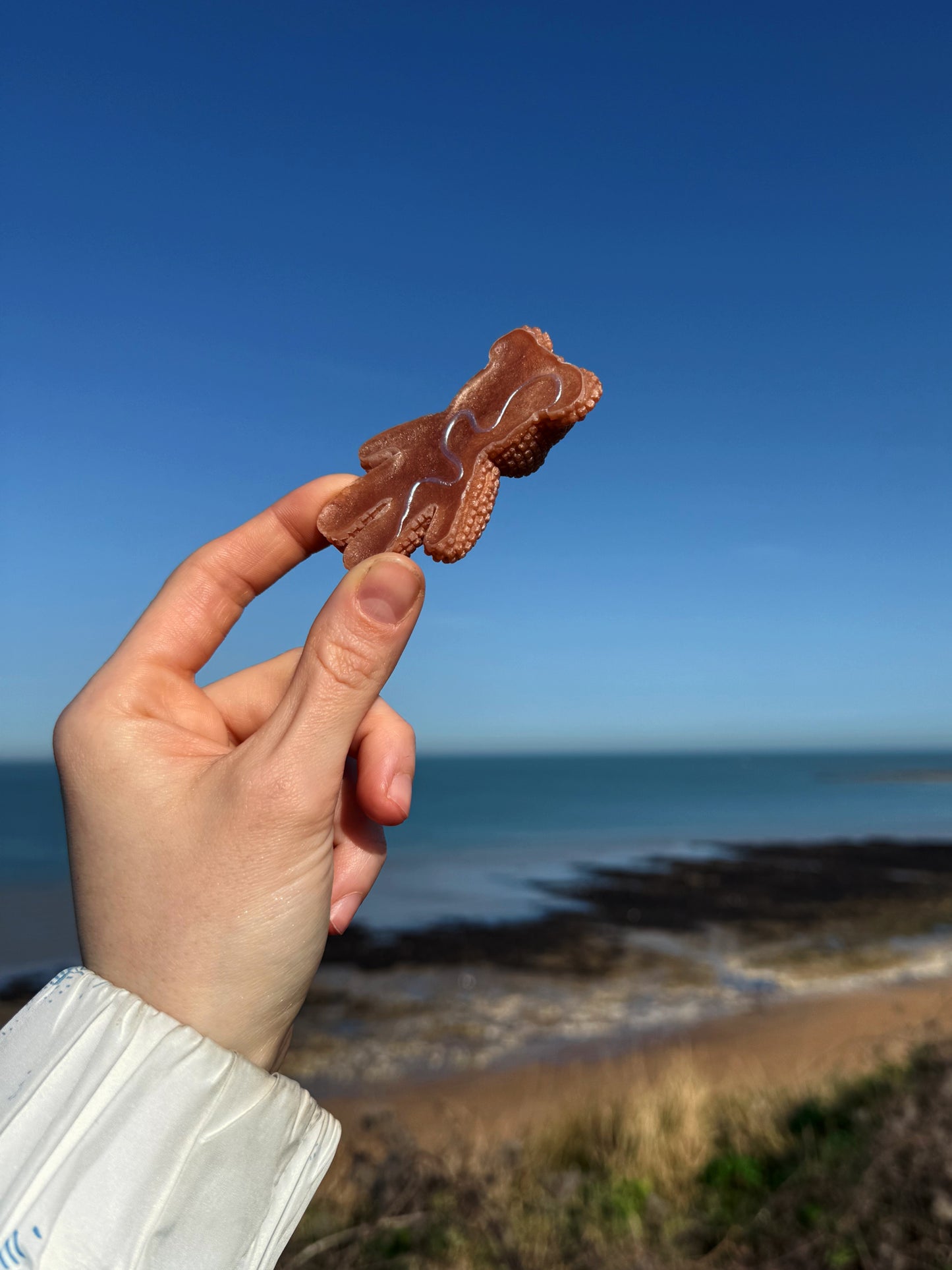 Jagger bear: clean girl baddie