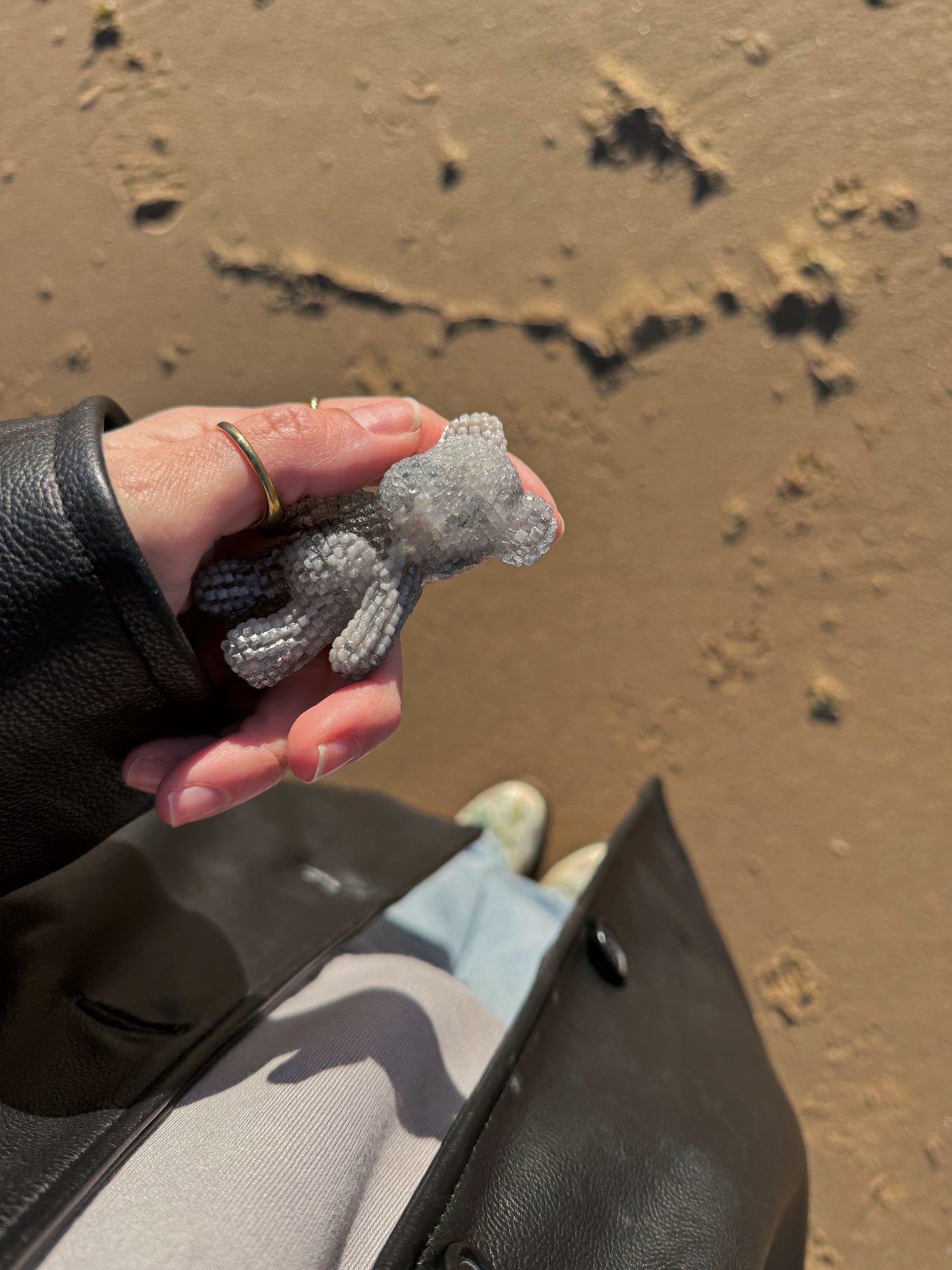 Jagger bear: rolly dragon babe 161