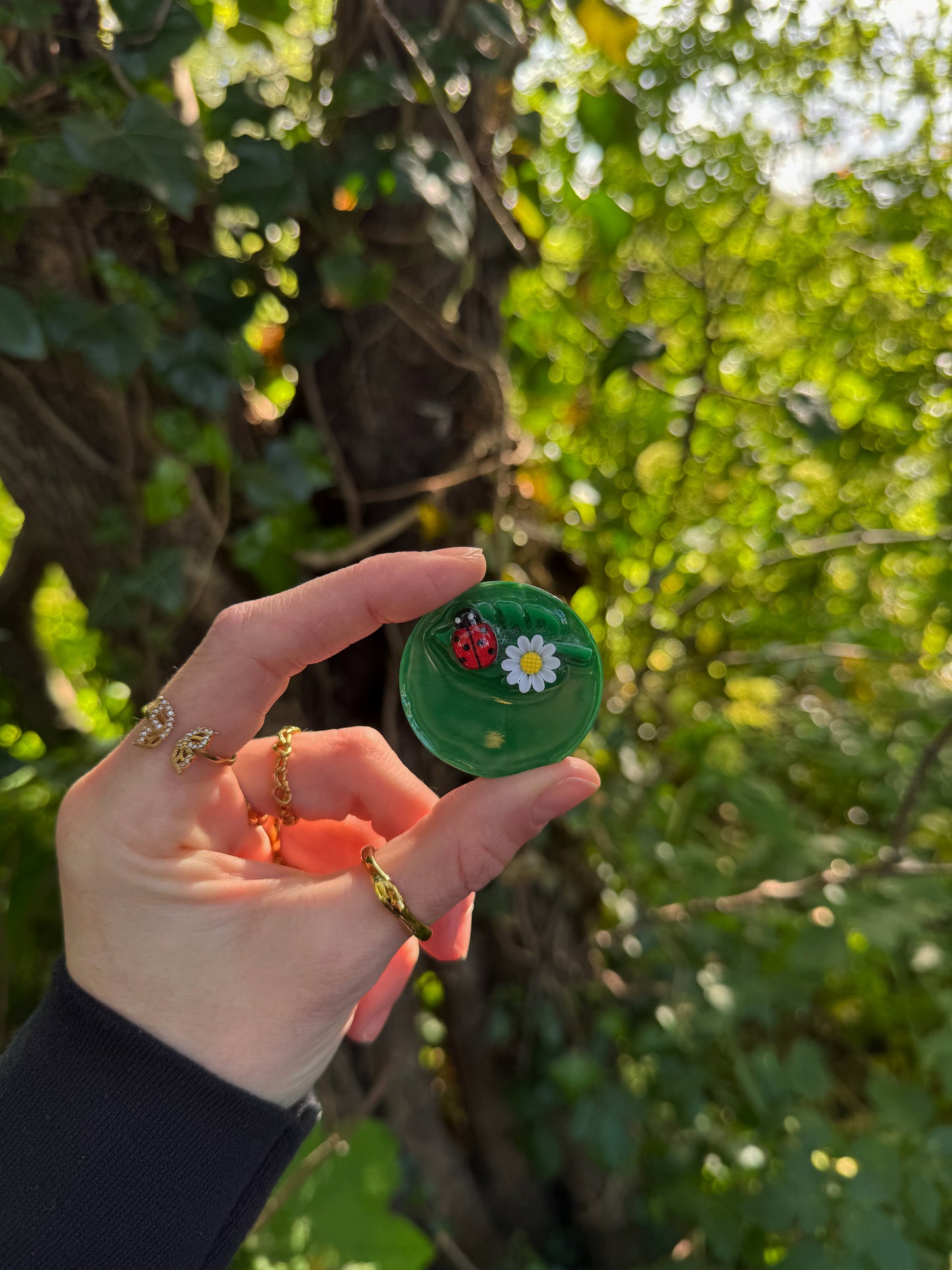 Fairy garden smile finder