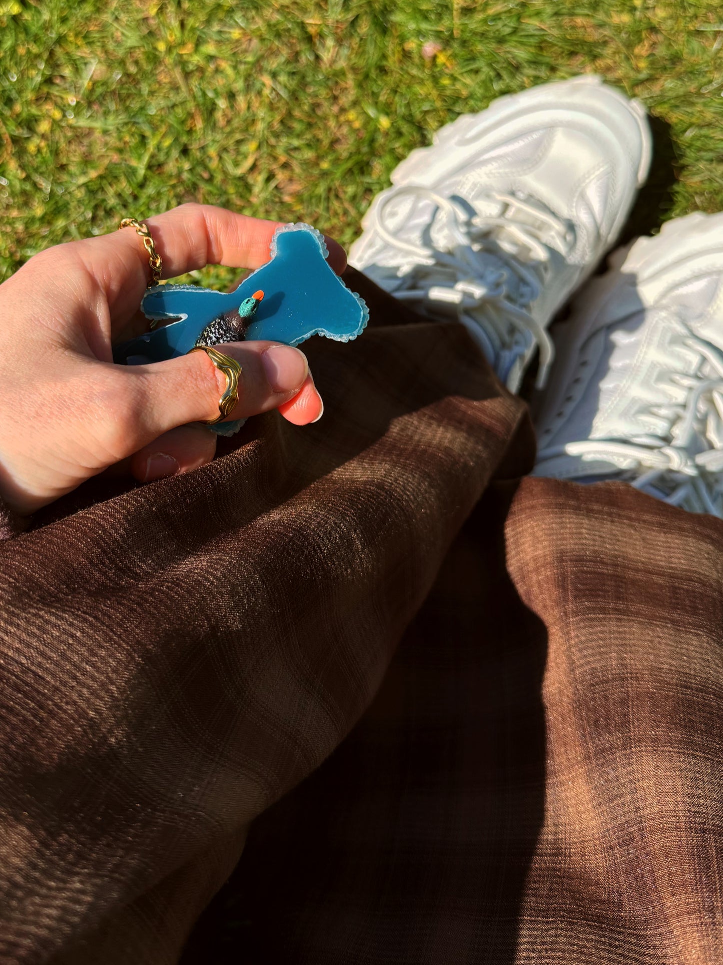Jagger bear: feed the ducks