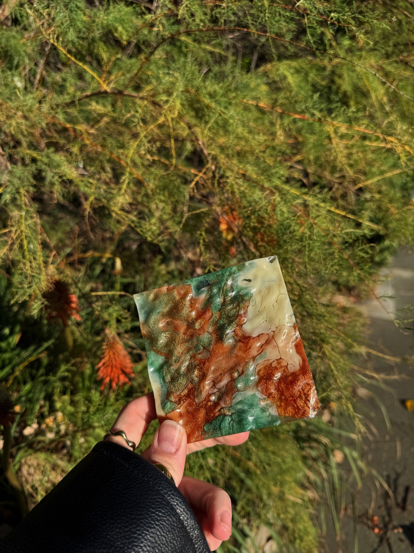 XL square wave: dragon bone 113