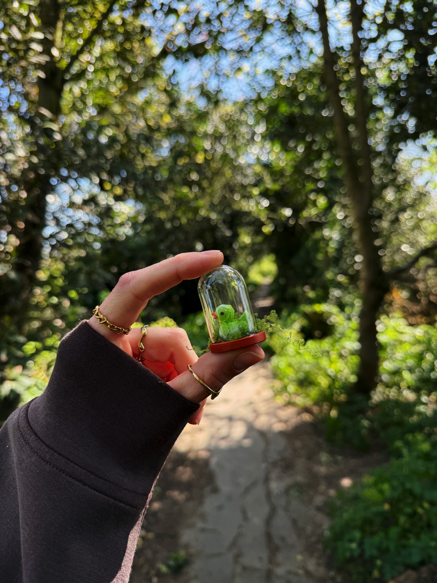 Cabbage duck glass cloche