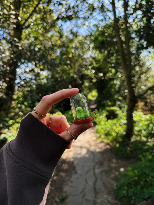 Cabbage duck glass cloche