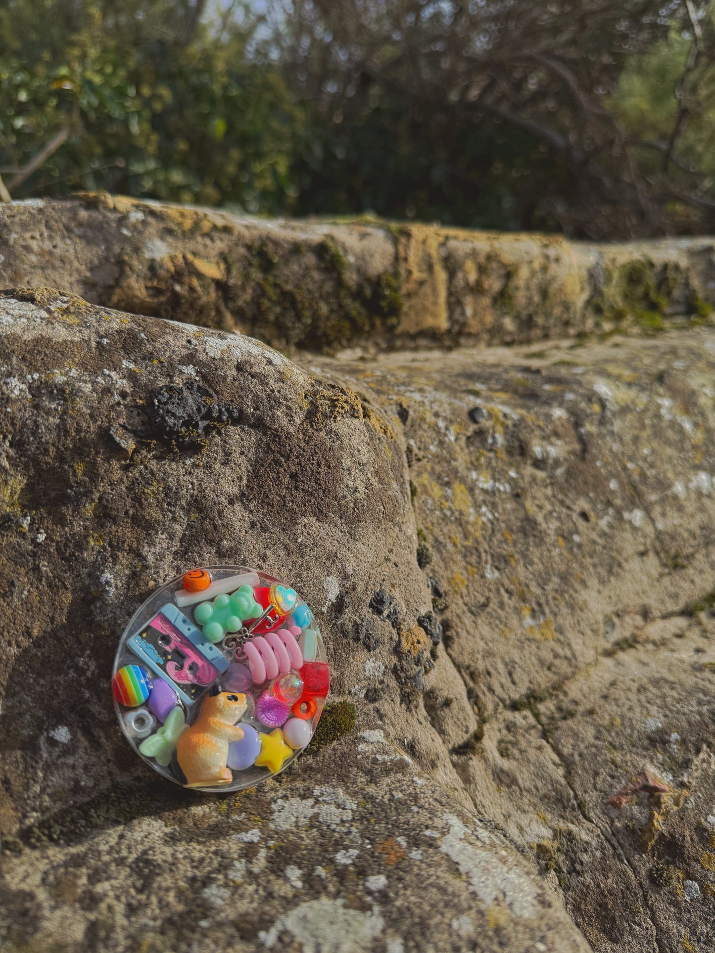 Mini tinker: rainbow hamster 22