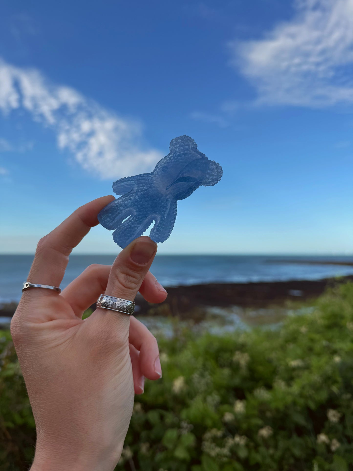 Jagger bear: magic water drop