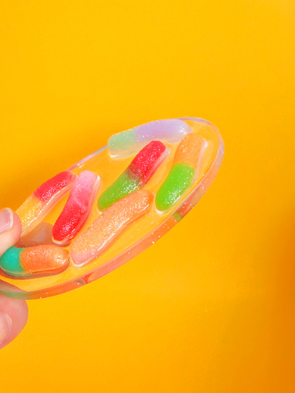 Gummy worm: oval tinker