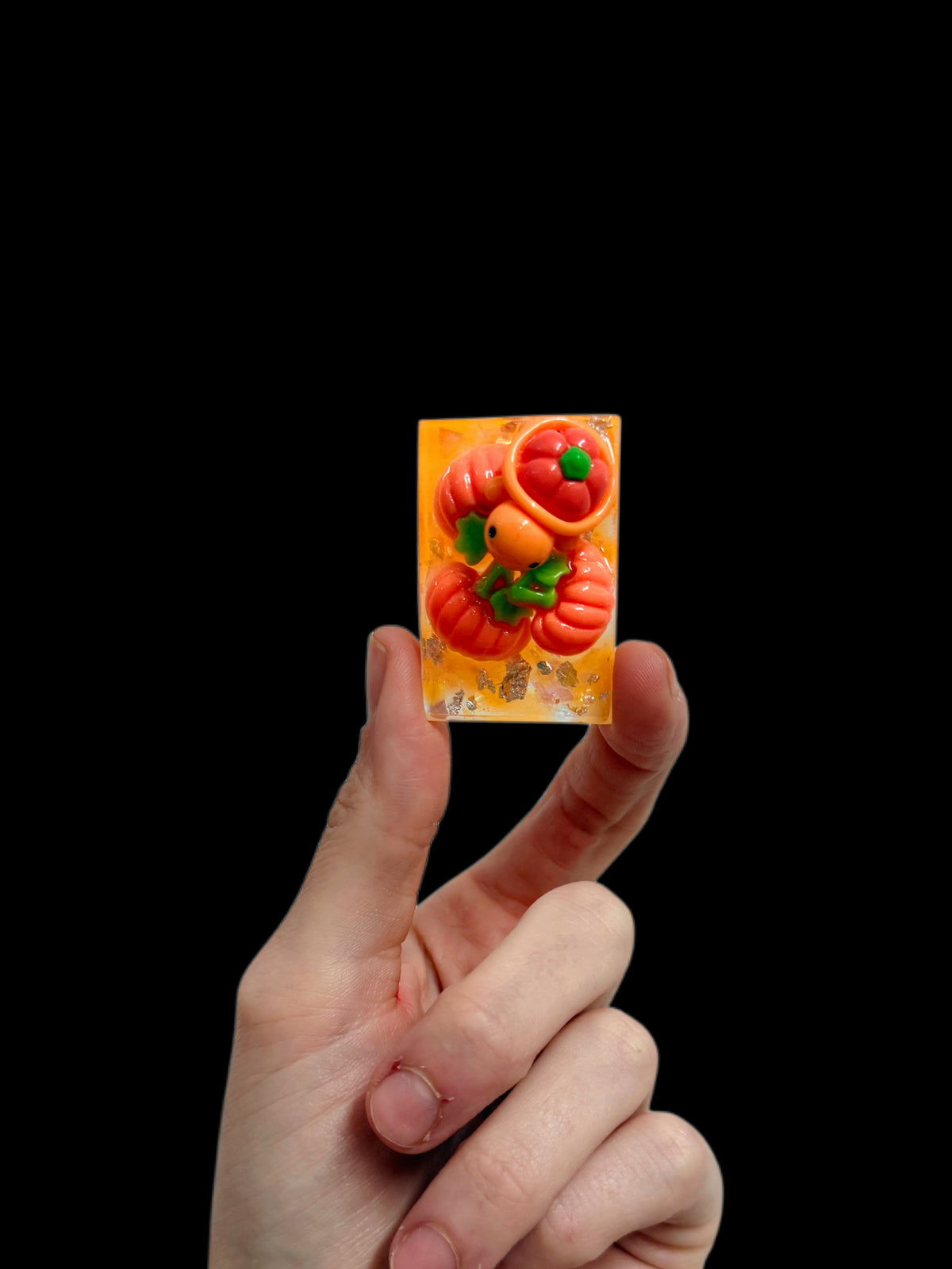 Pumpkin tortoise rectangle wave