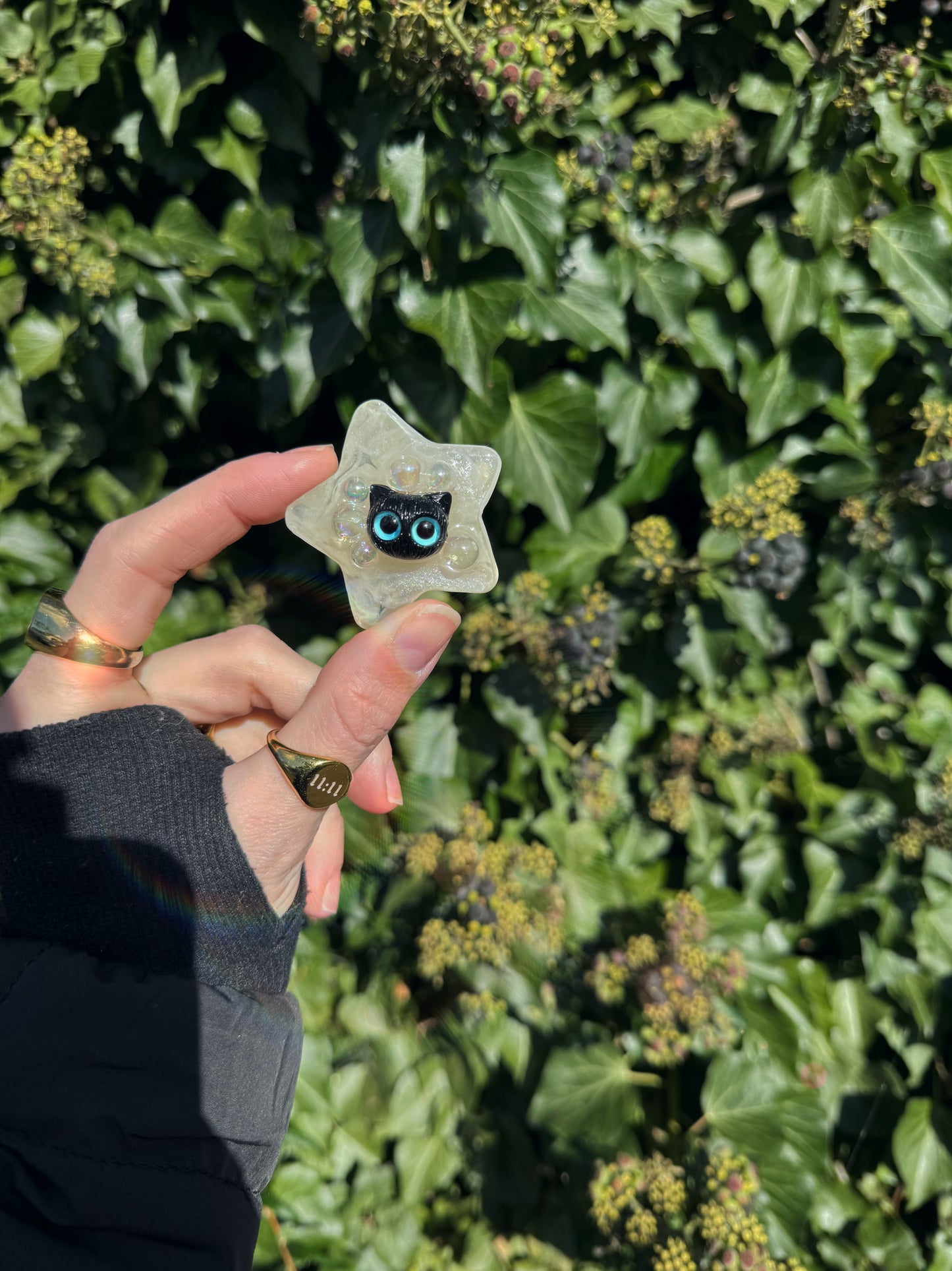 Water star: black cat 156