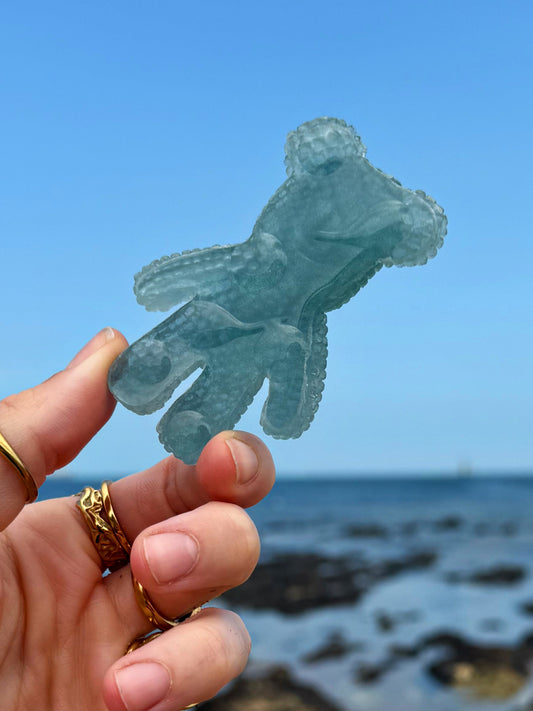 Jagger bear: seaweed water drop