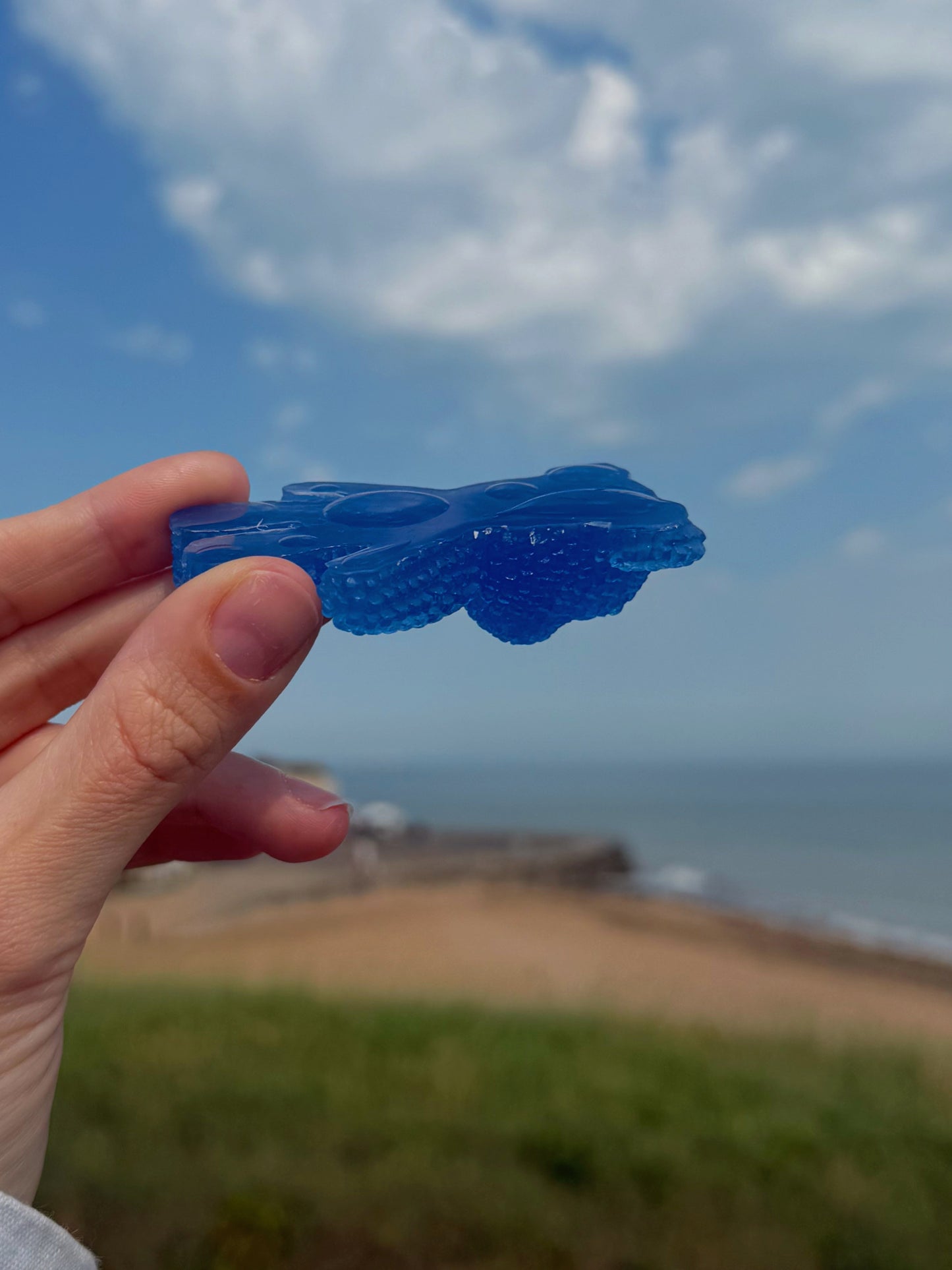 Jagger bear: water drop