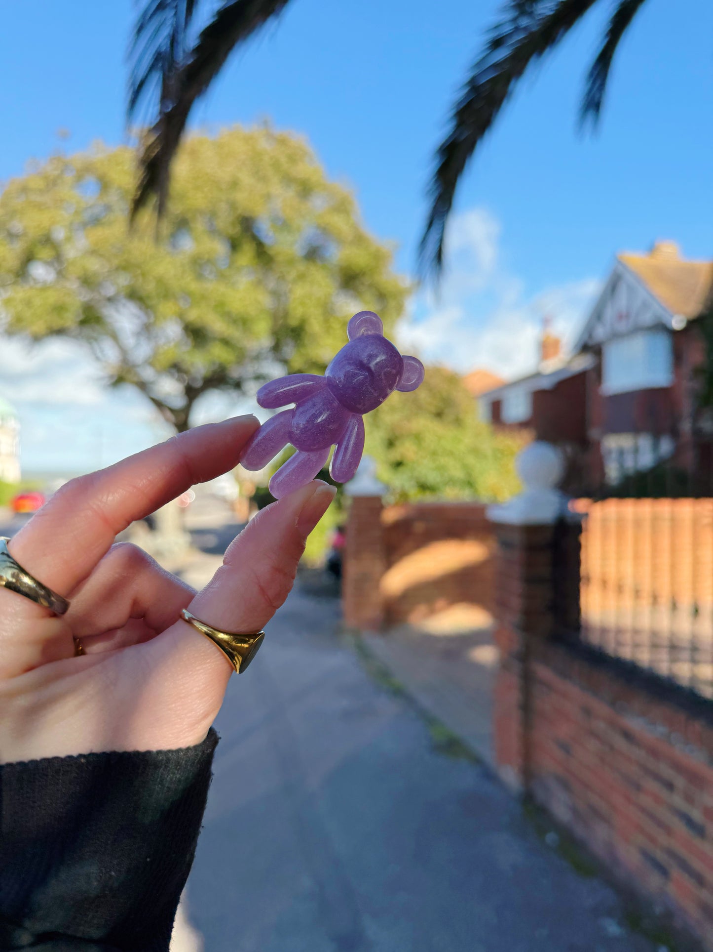 Worry bear: purple bubble 141