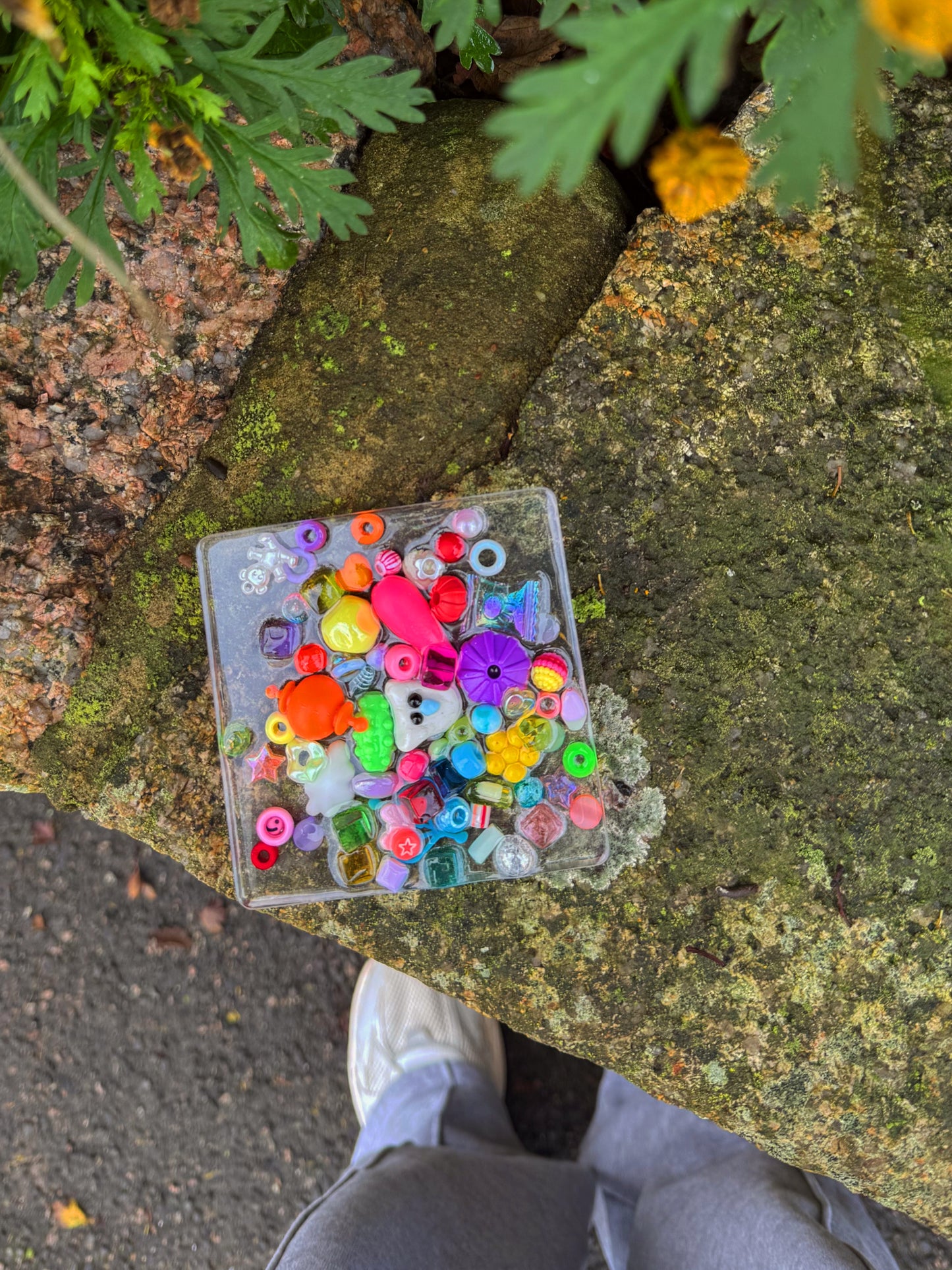 Third wish x jazshouse: rainbow owl