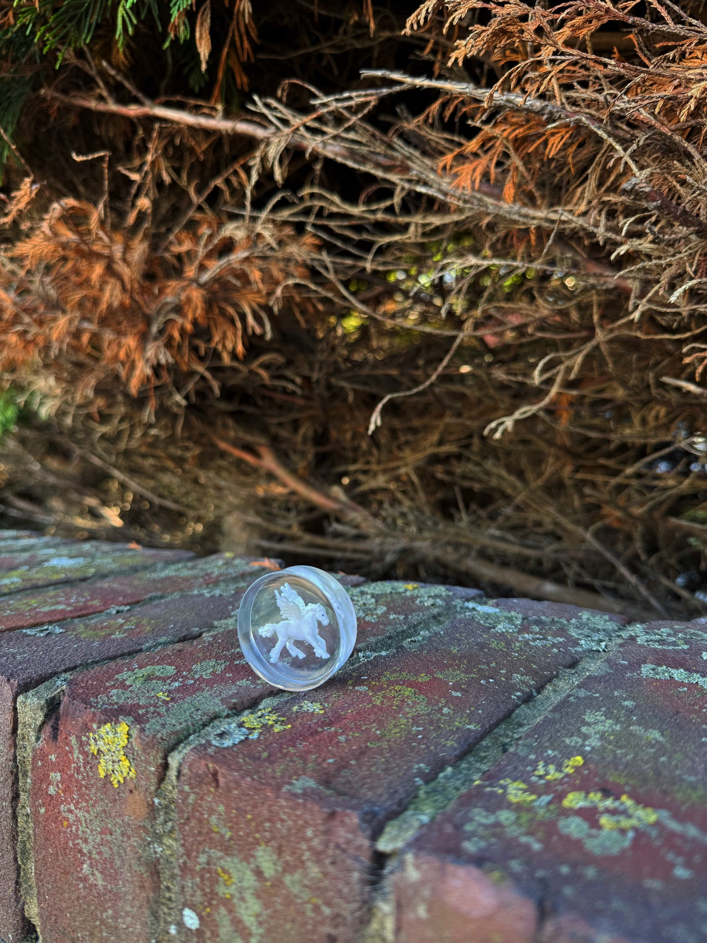 Chunky orb: Pegasus 168