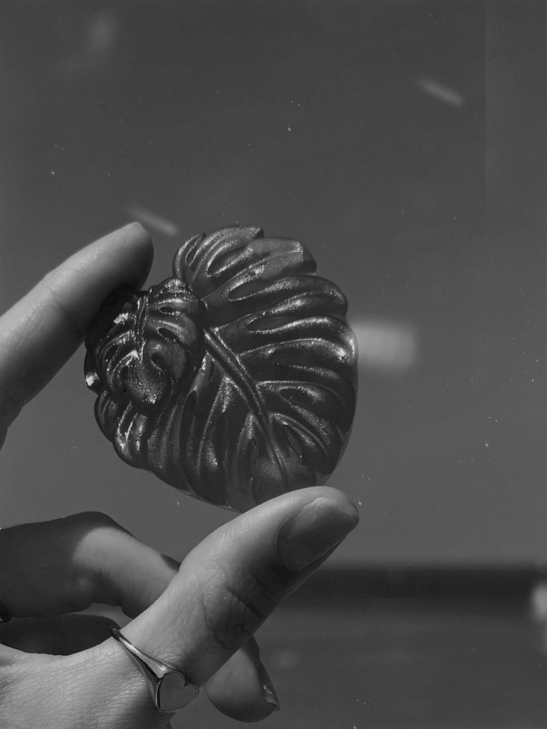 Baby bubble leaf