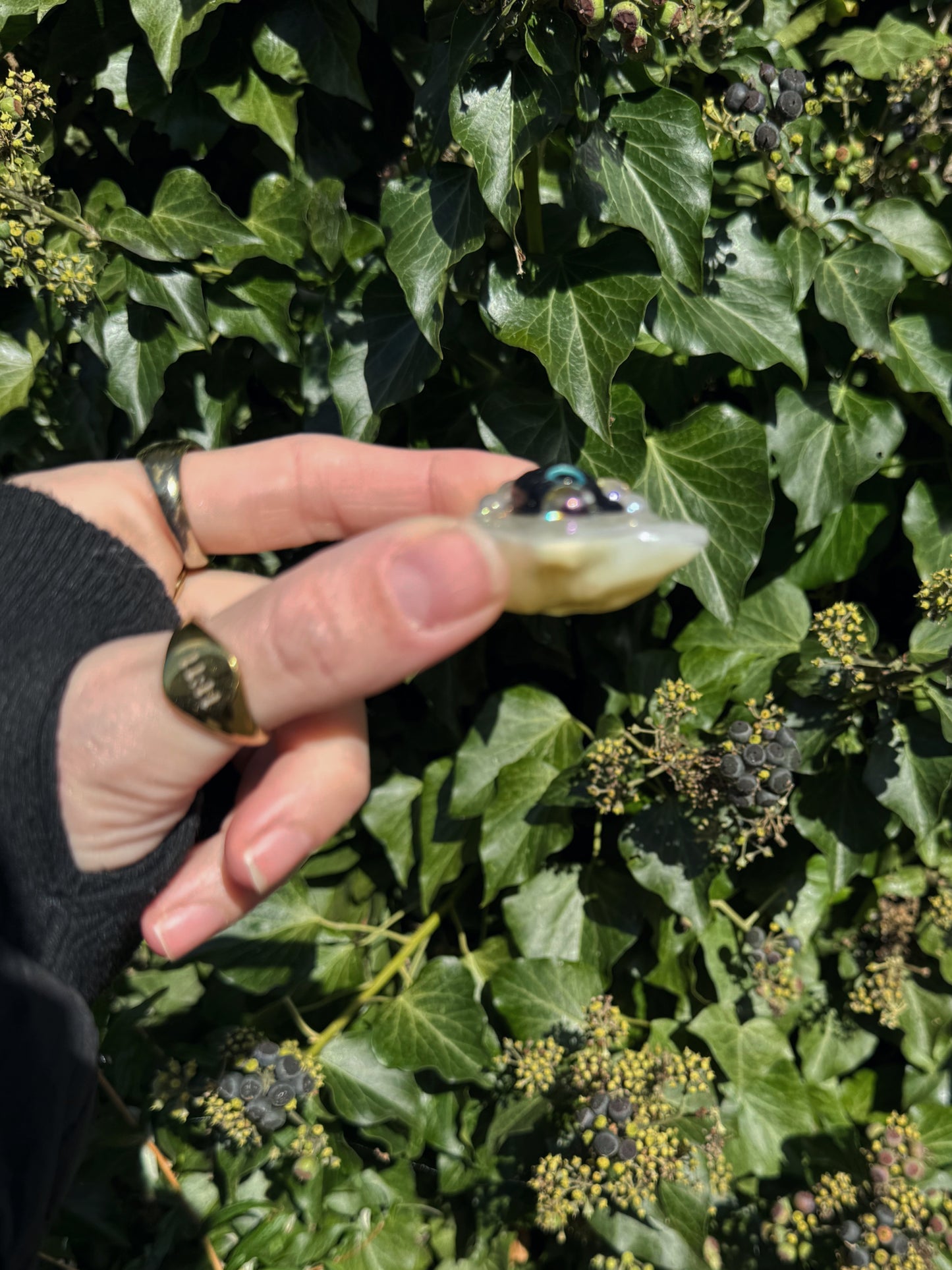 Water star: black cat 156