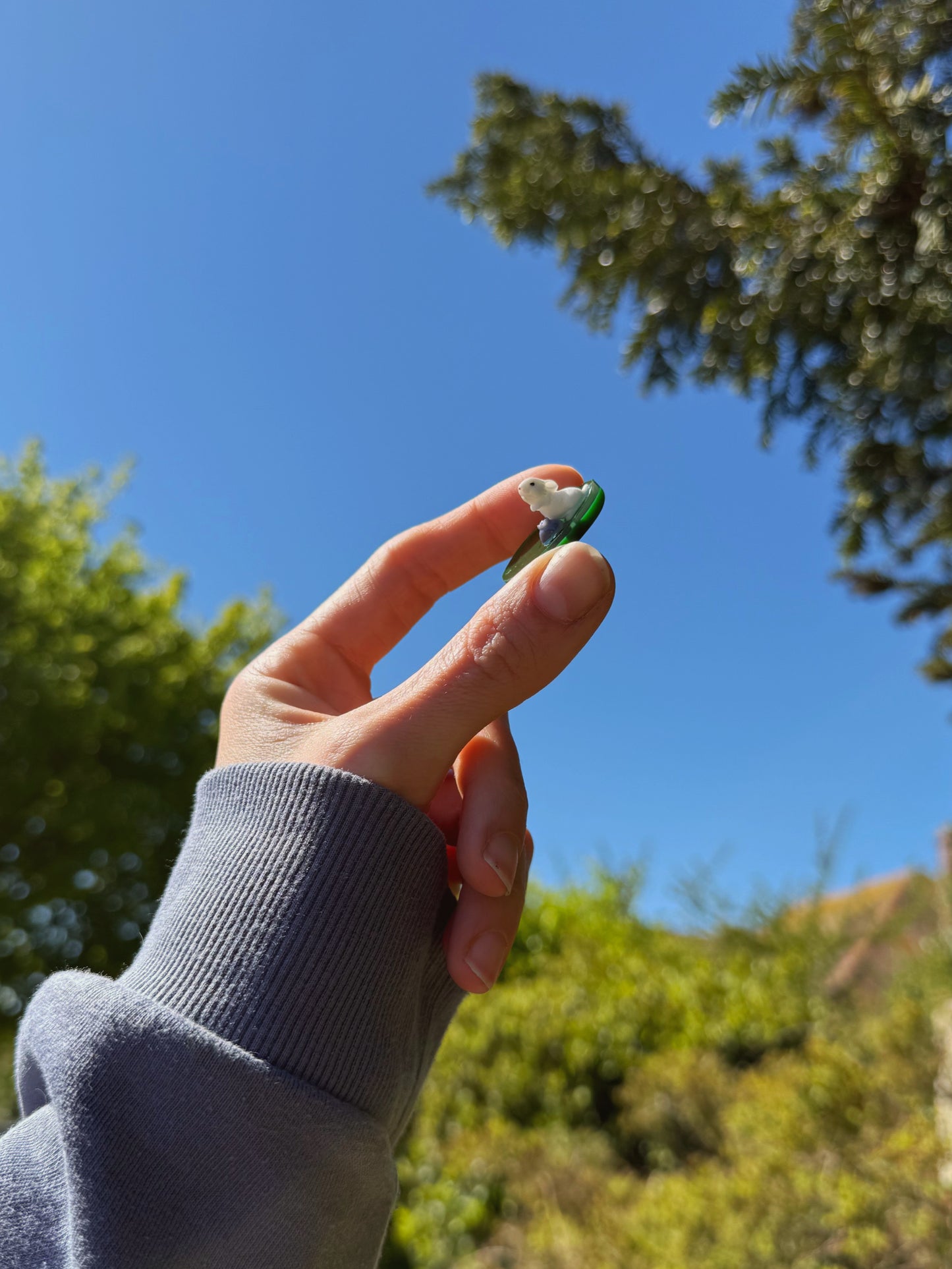 Thats my blueberry micro orb