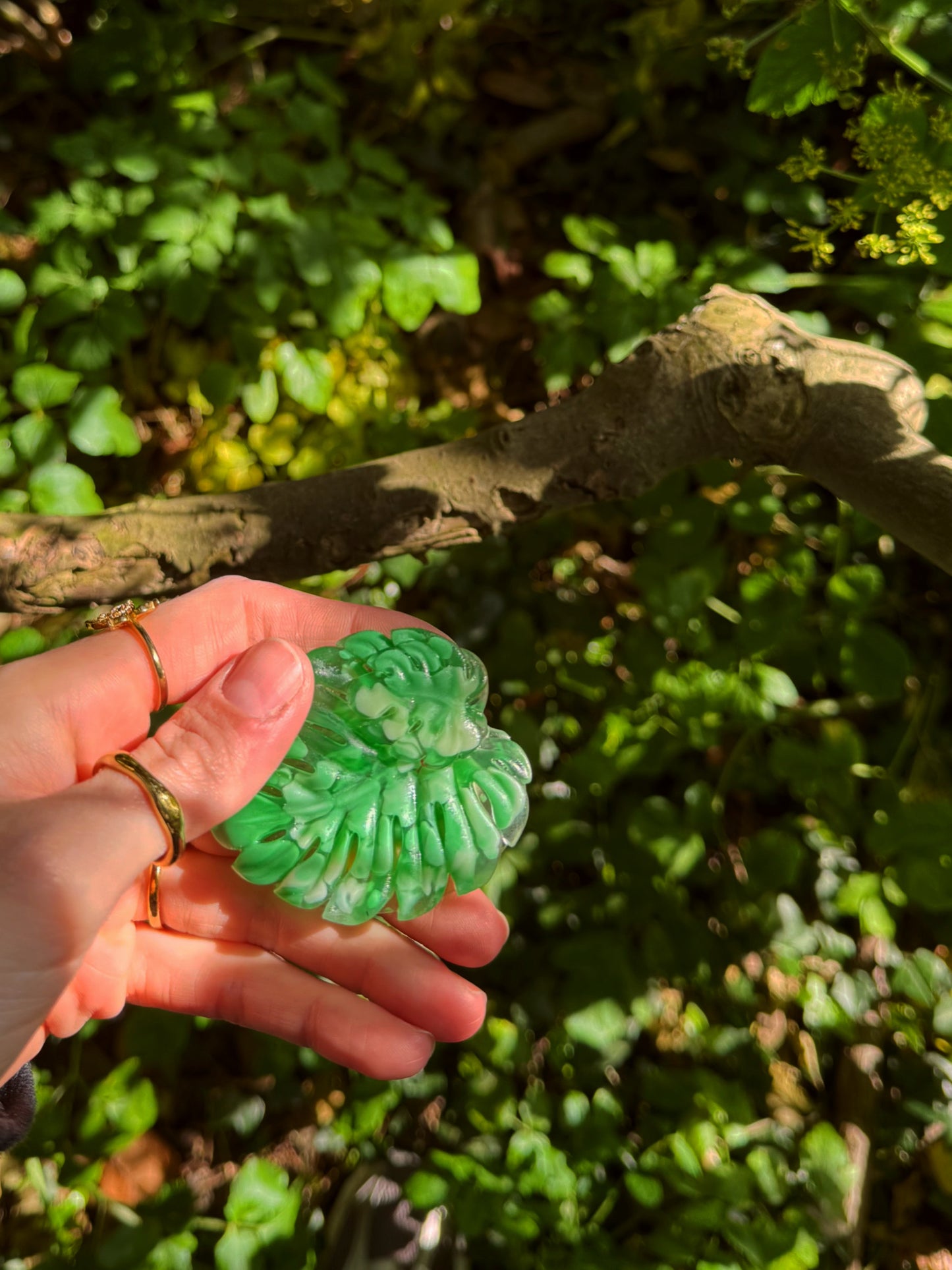 Snail leaf