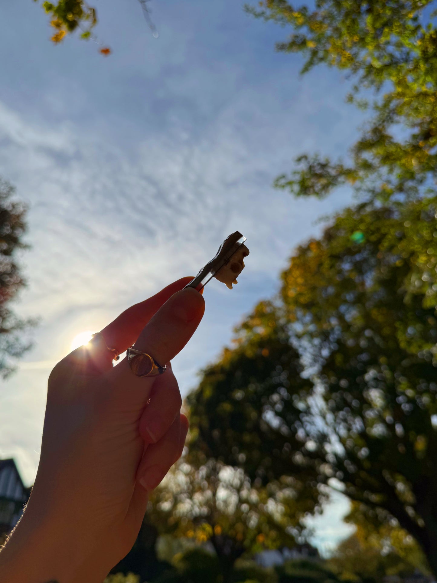 Double wave: dragon skull 127