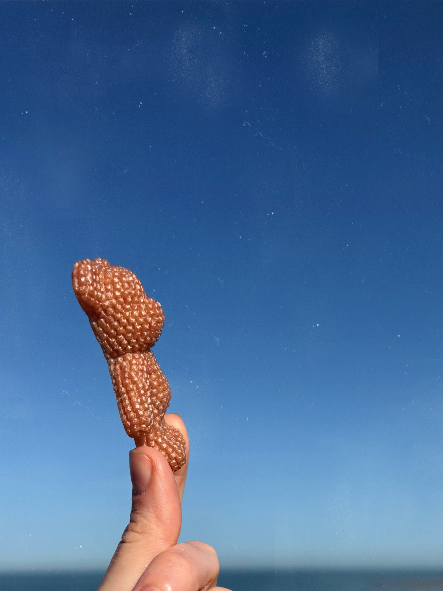 Jagger bear: clean girl baddie