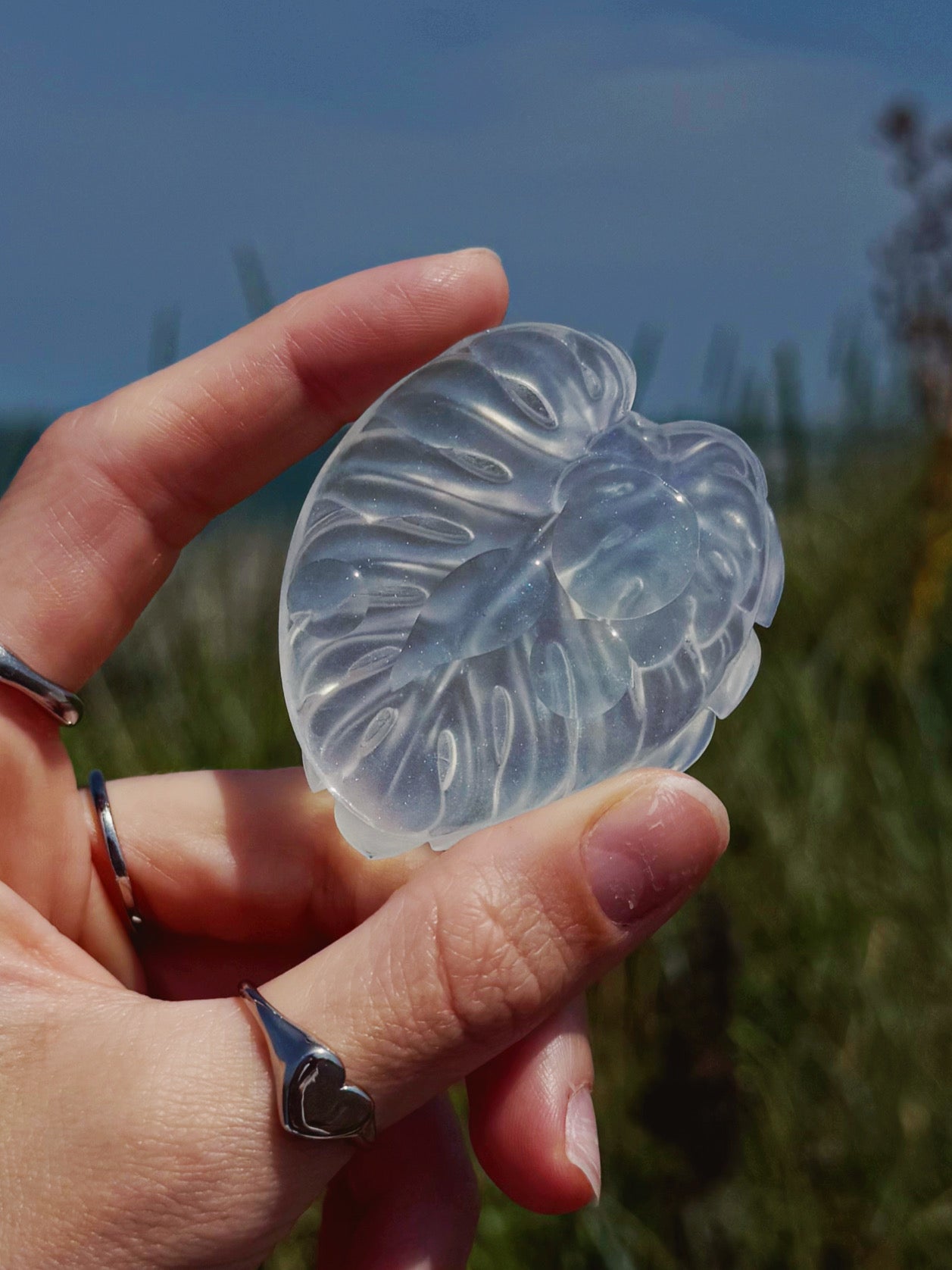 Water drop leaf