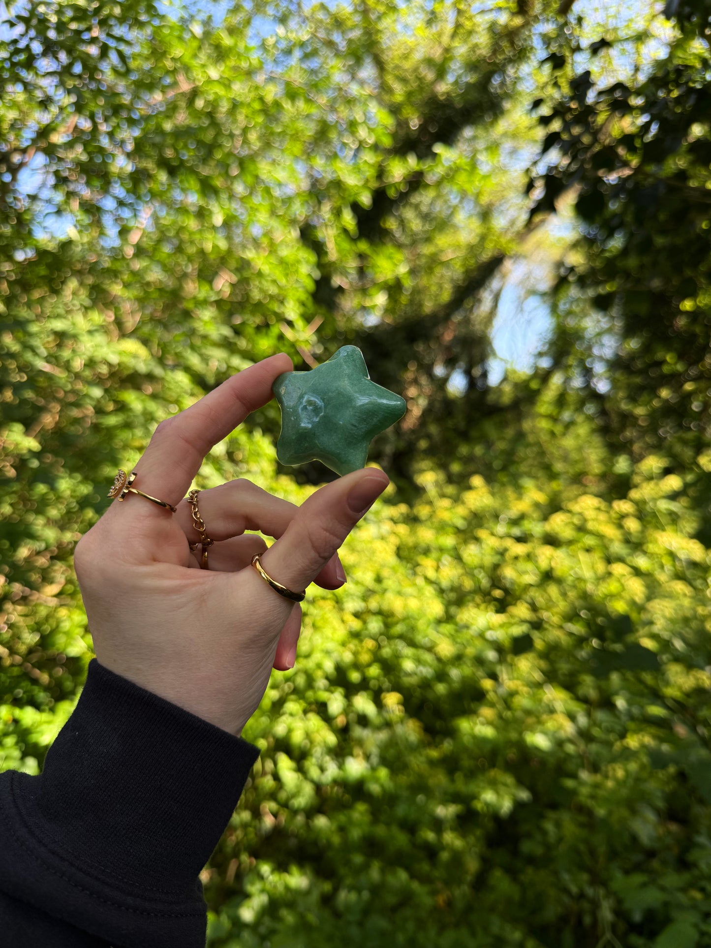 Fairy garden safe spike water star