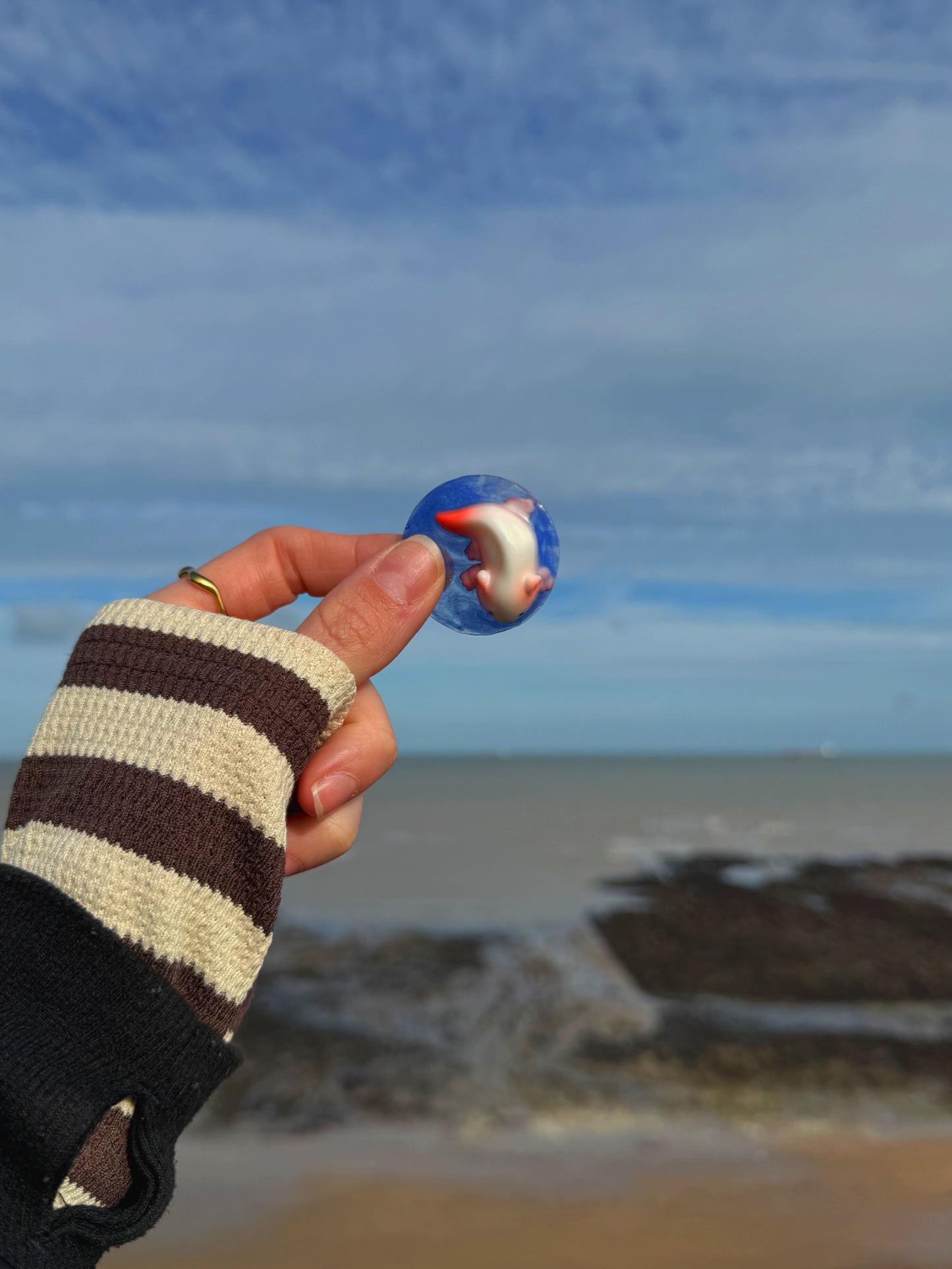 Holographic orb: axolotl 6