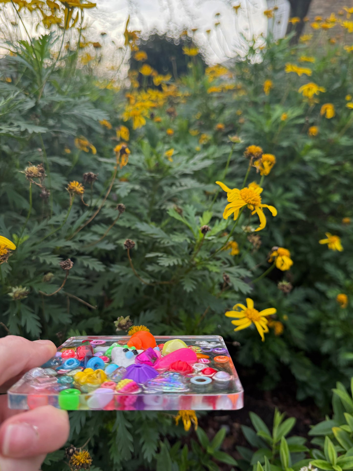 Third wish x jazshouse: rainbow owl