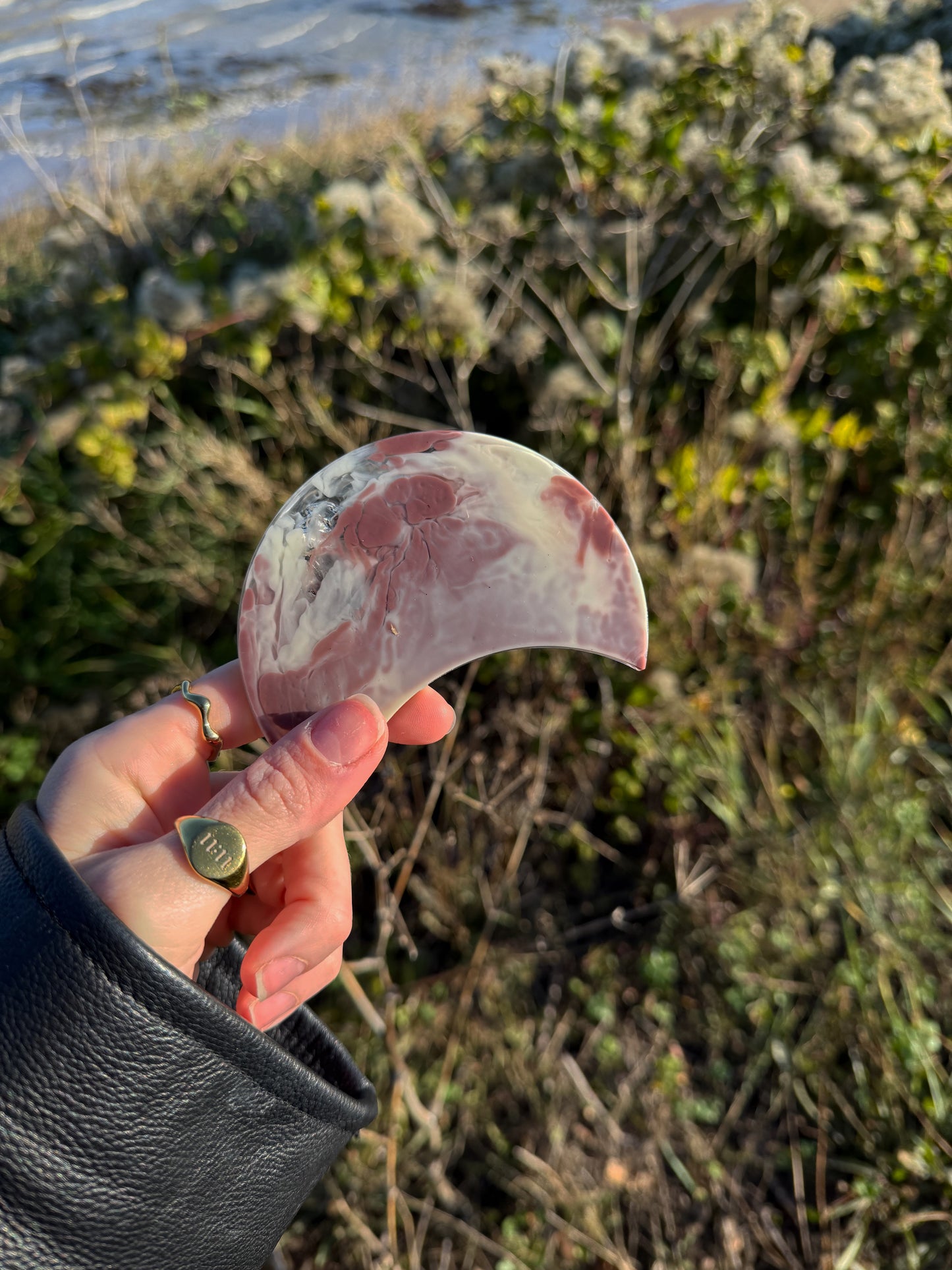 Dinosaur mildred moon tinker 109