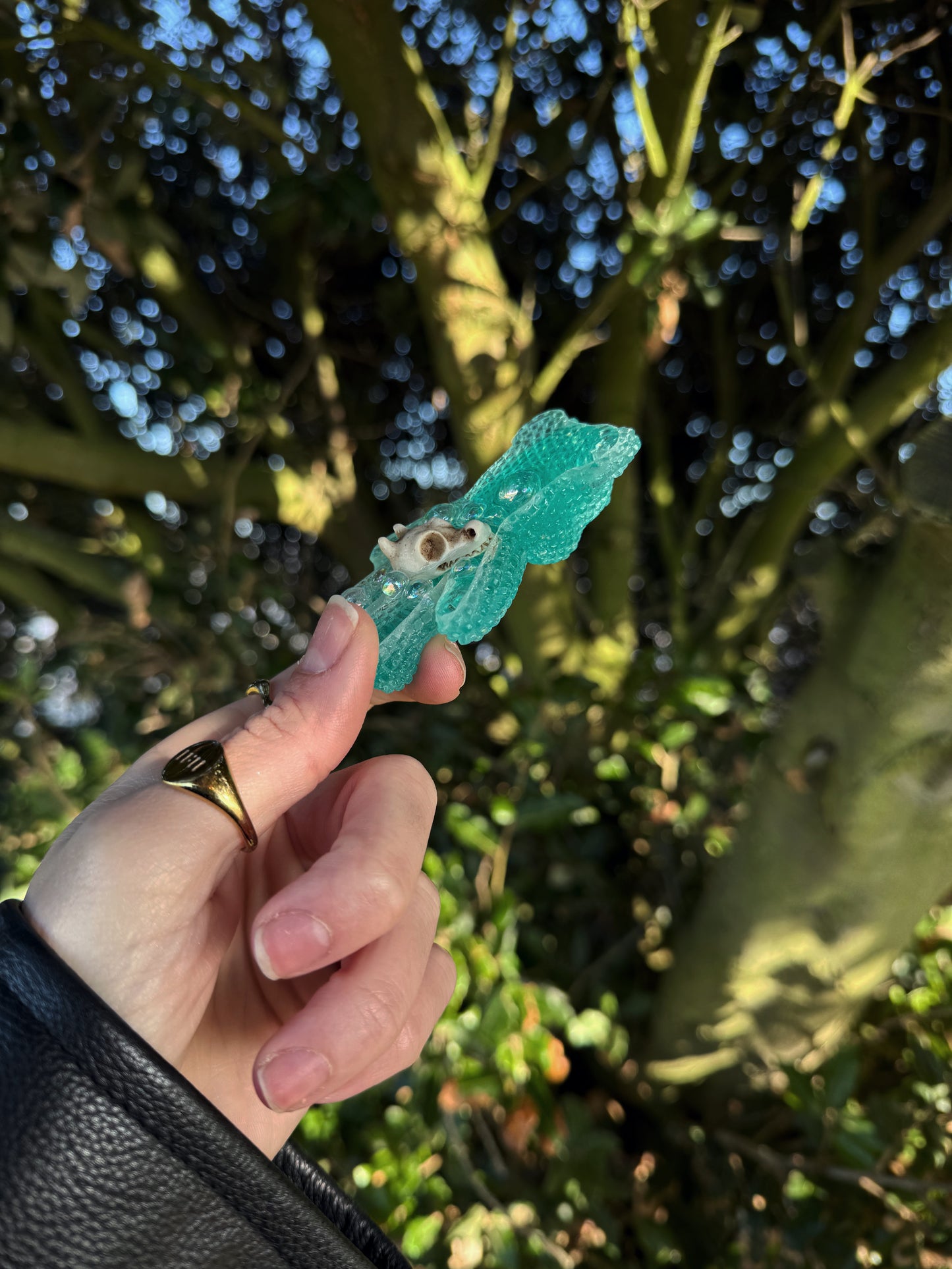 Jagger bear: Dragon skull 170