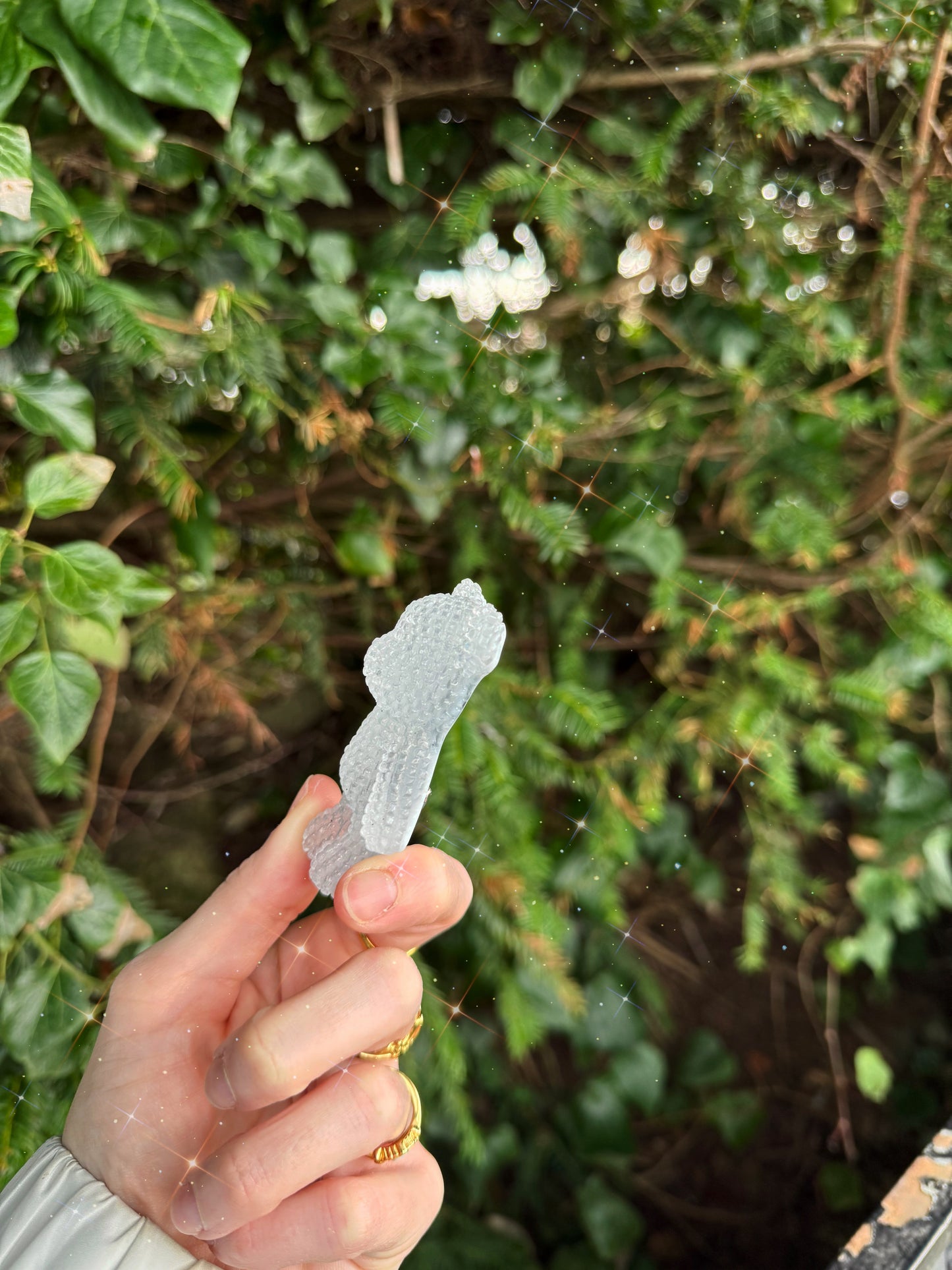 Jagger bear: dragon eye