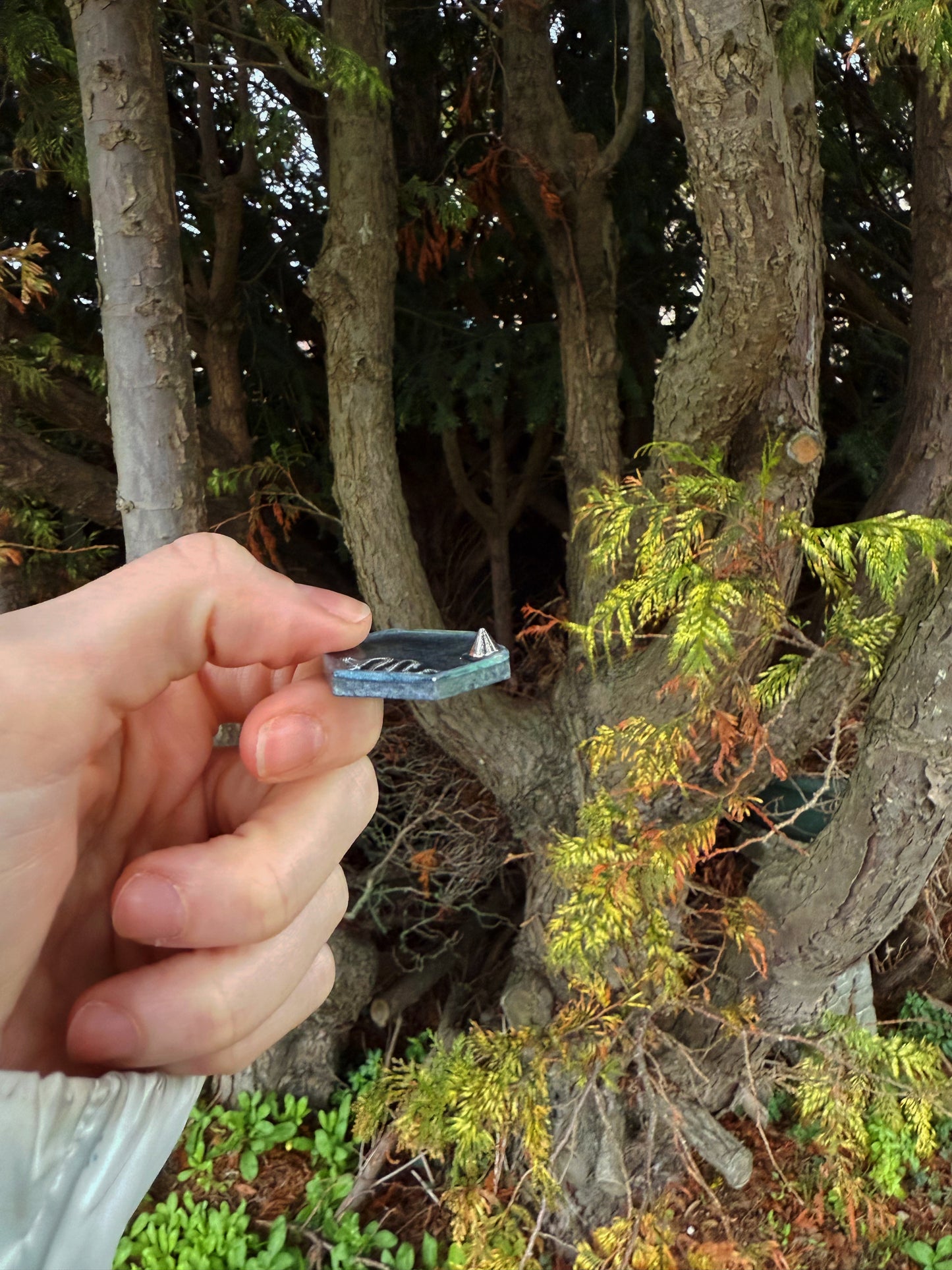 The snake and the spike